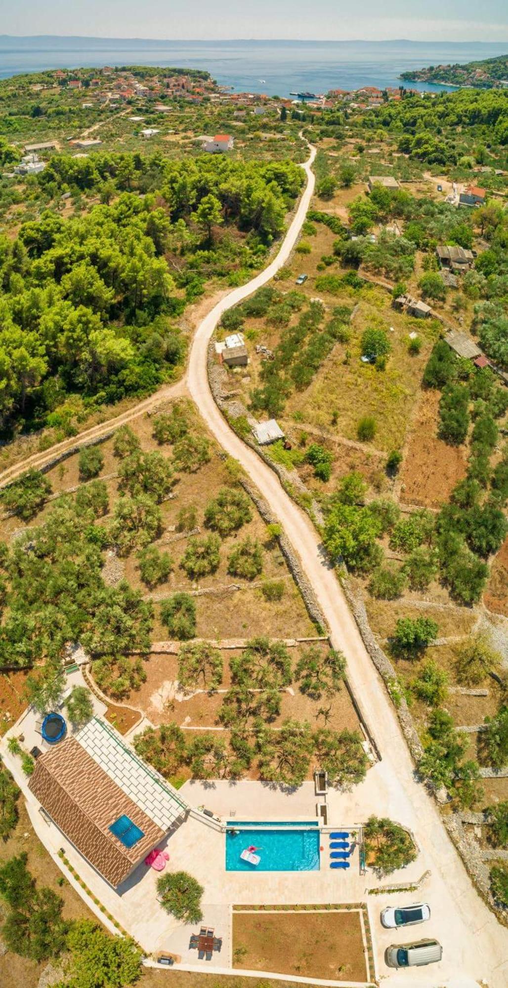 The Olive Tree Villa