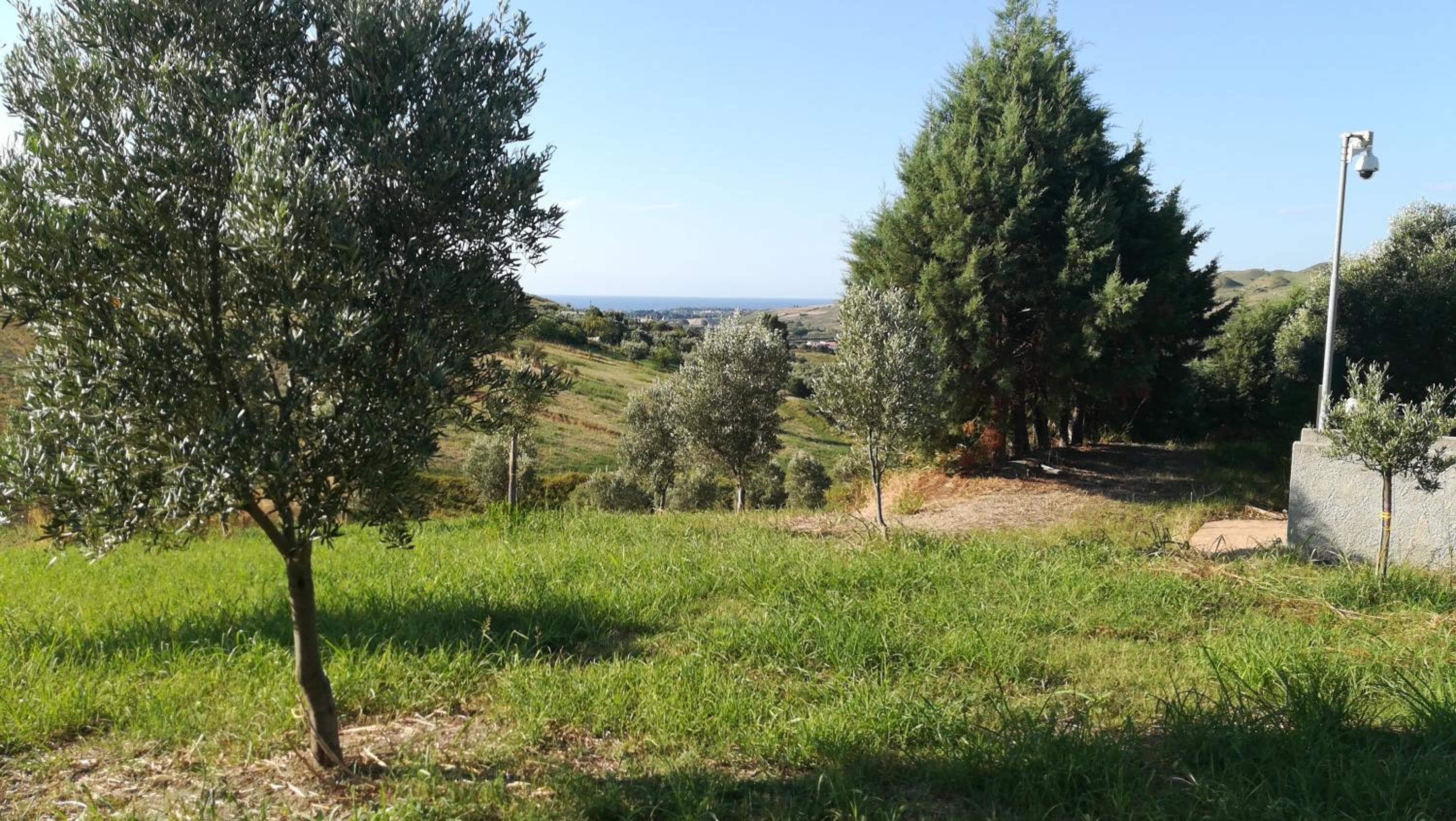 Agriturismo Colle del Sindaco