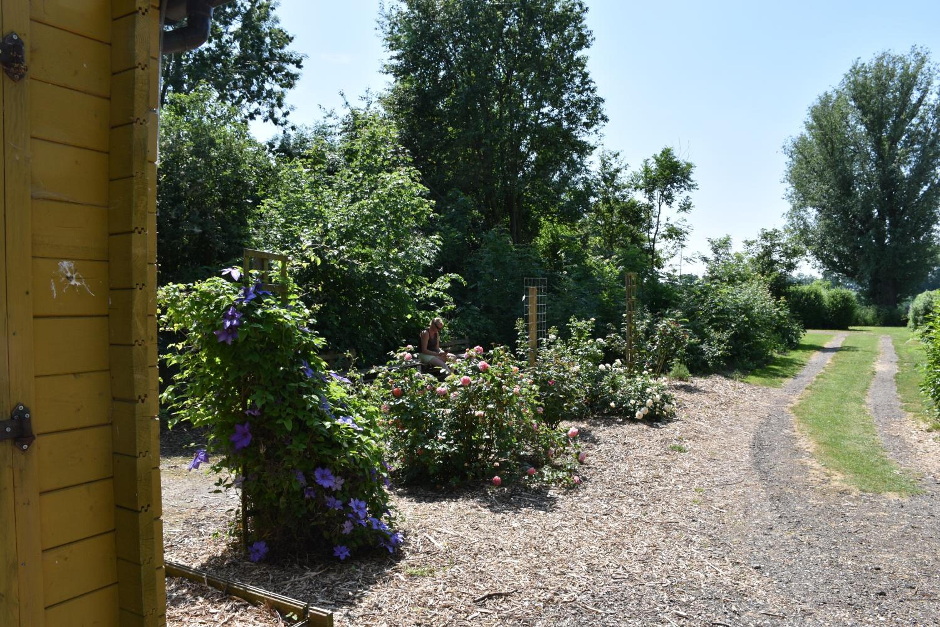 Photo 11