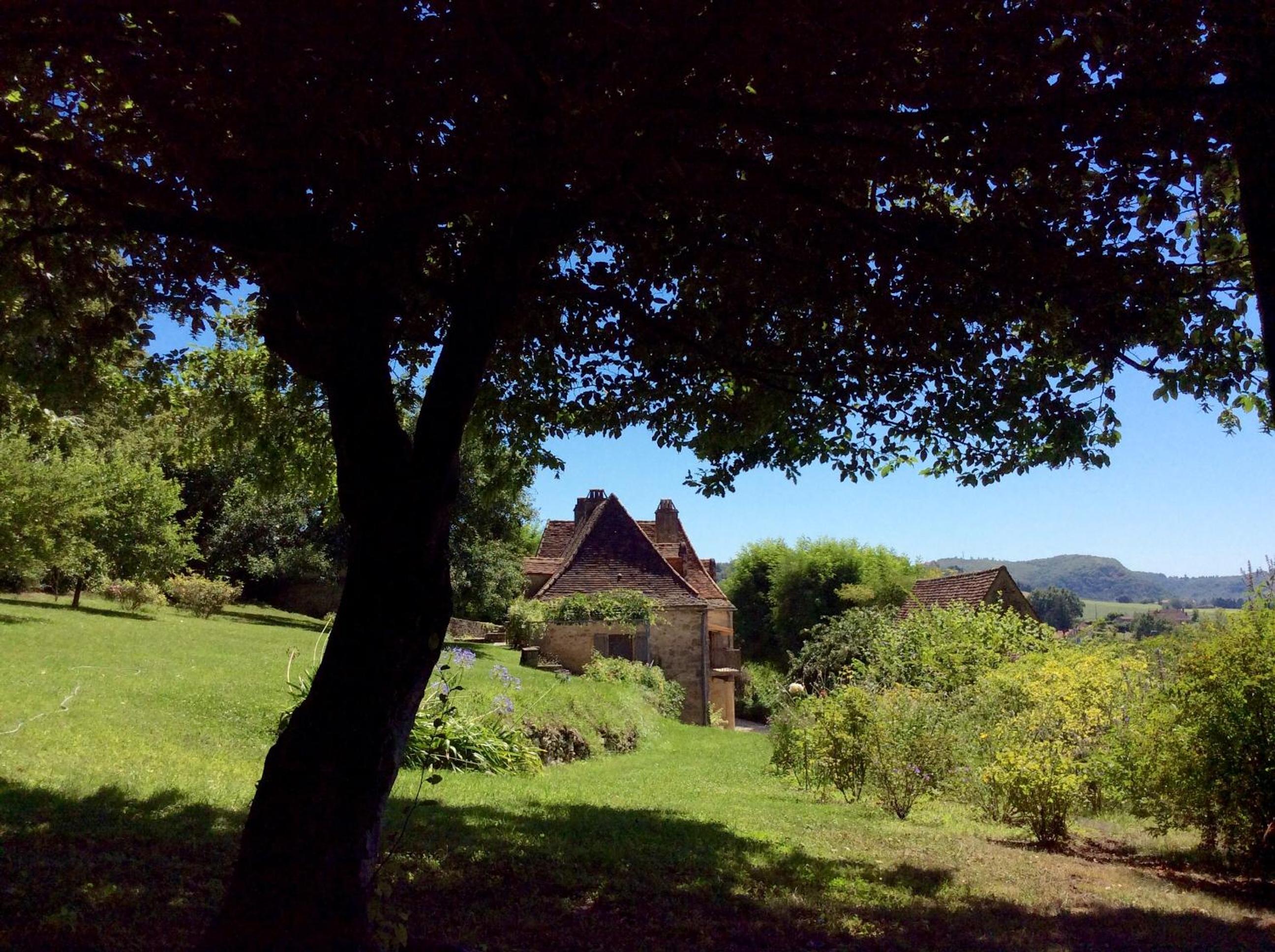 Photo 49