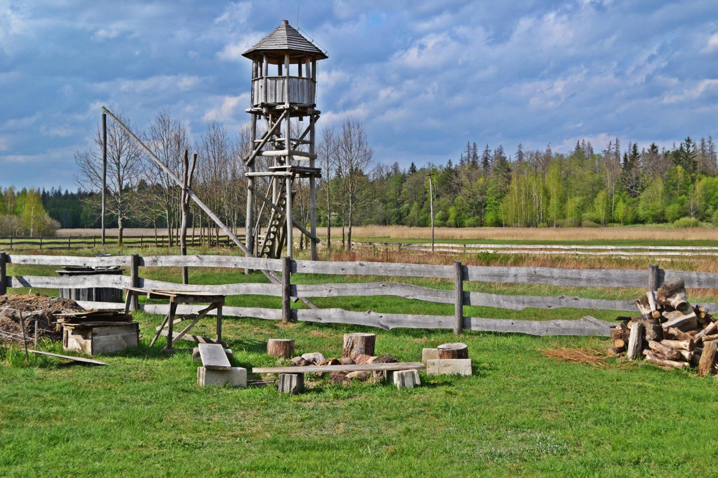 Photo 10