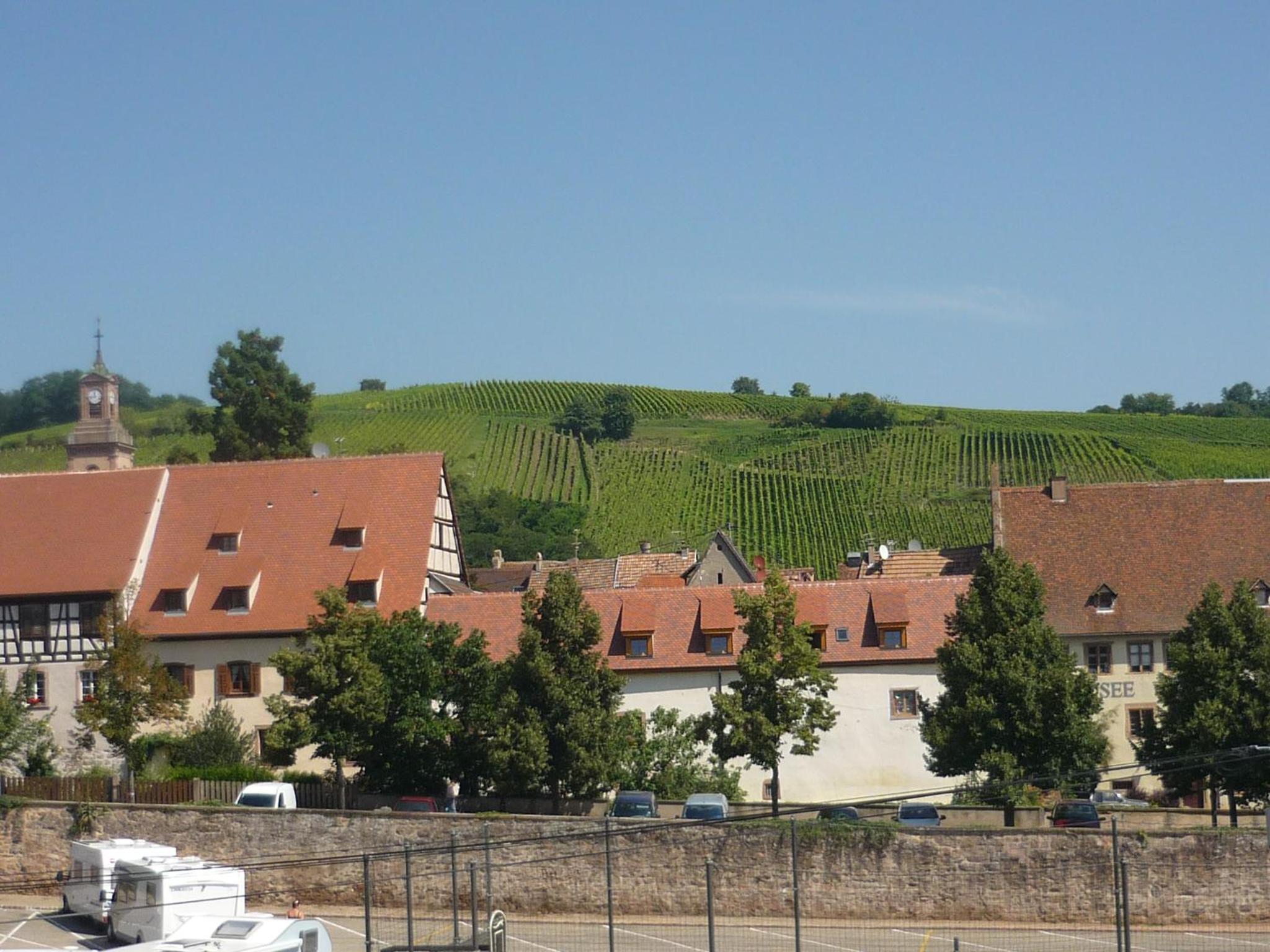 Chambres D'hotes Du Vignoble view 2