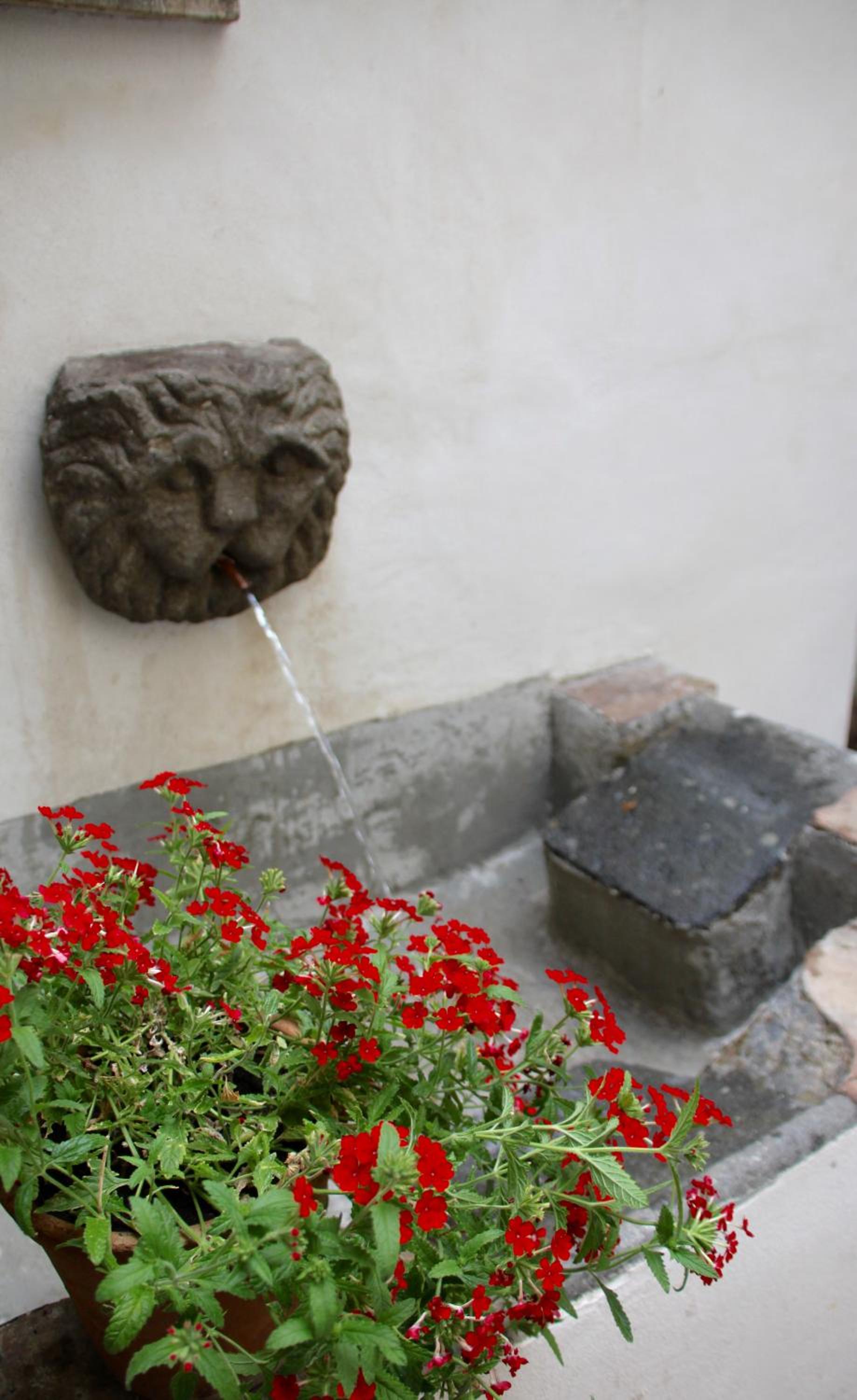 Photo 40