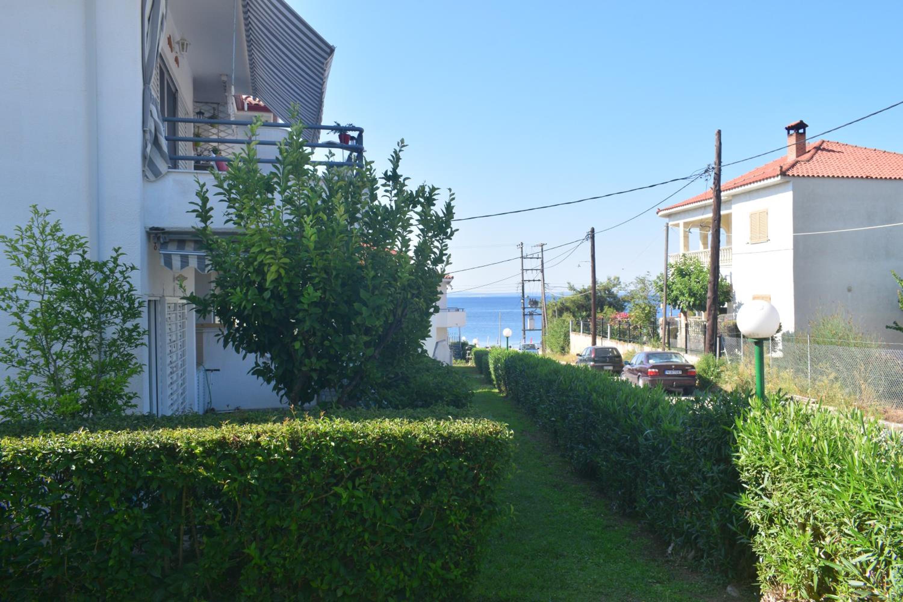 Halkidiki Mare photo 3
