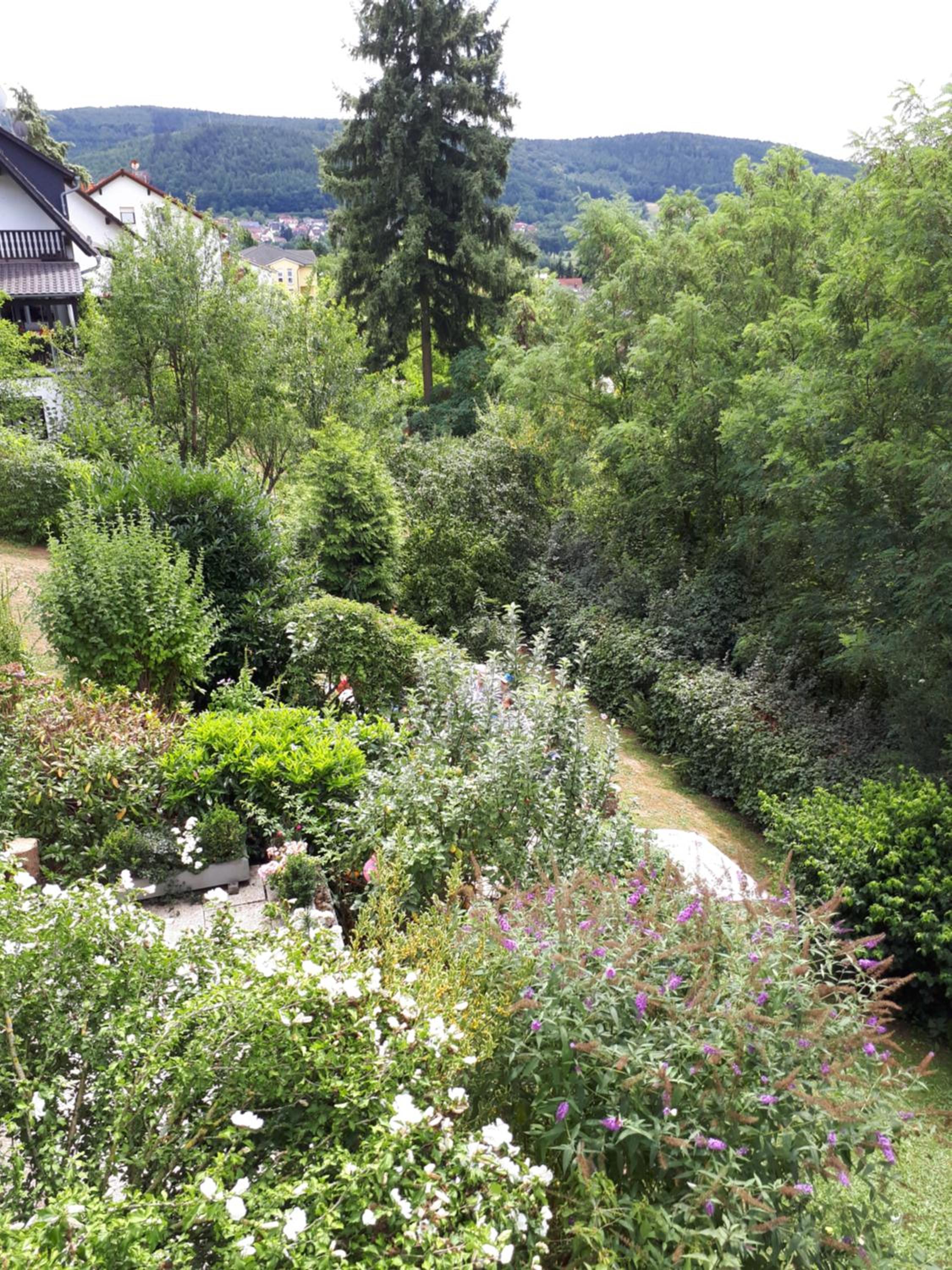 Photo 33