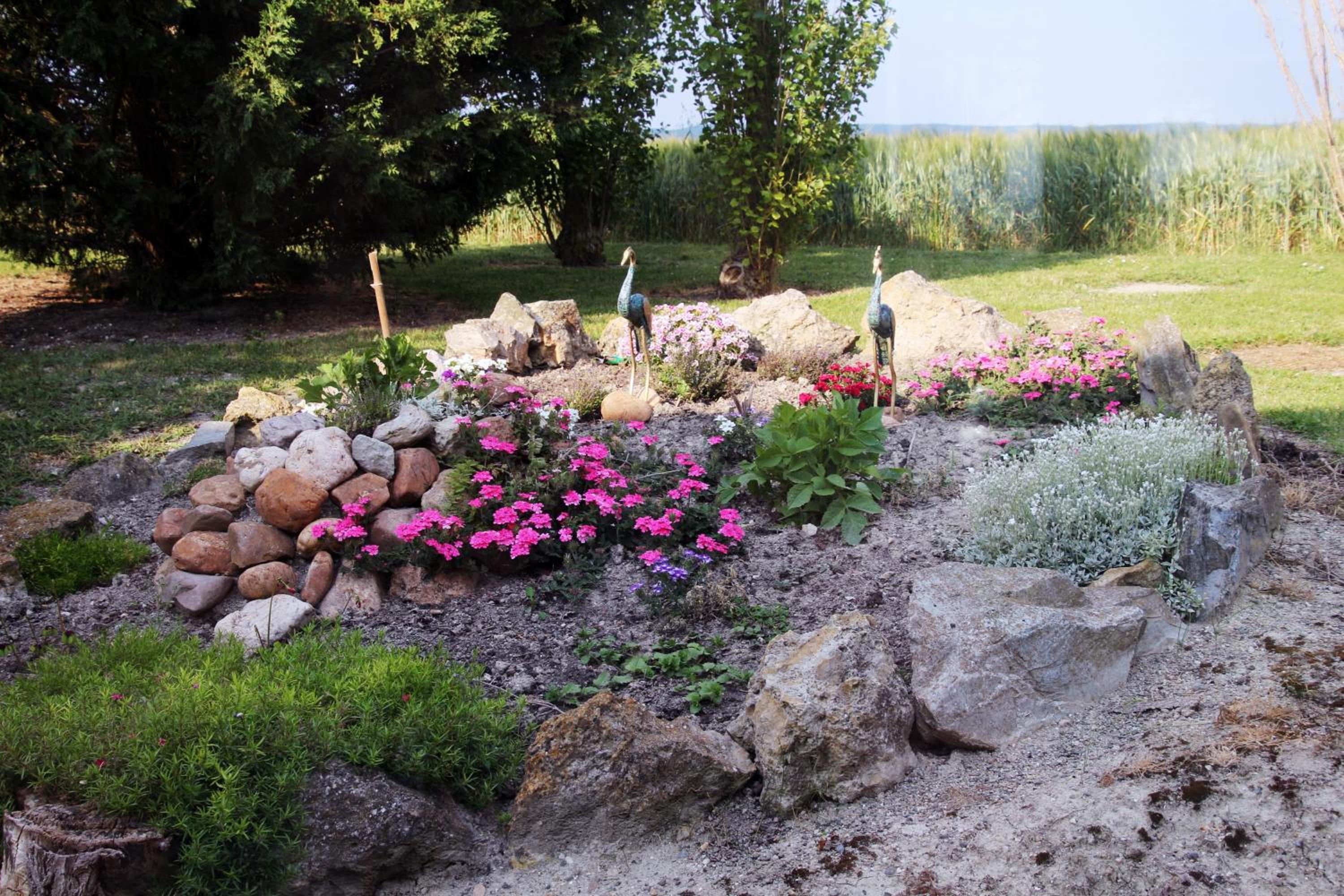Domaine de la Pendule view 5