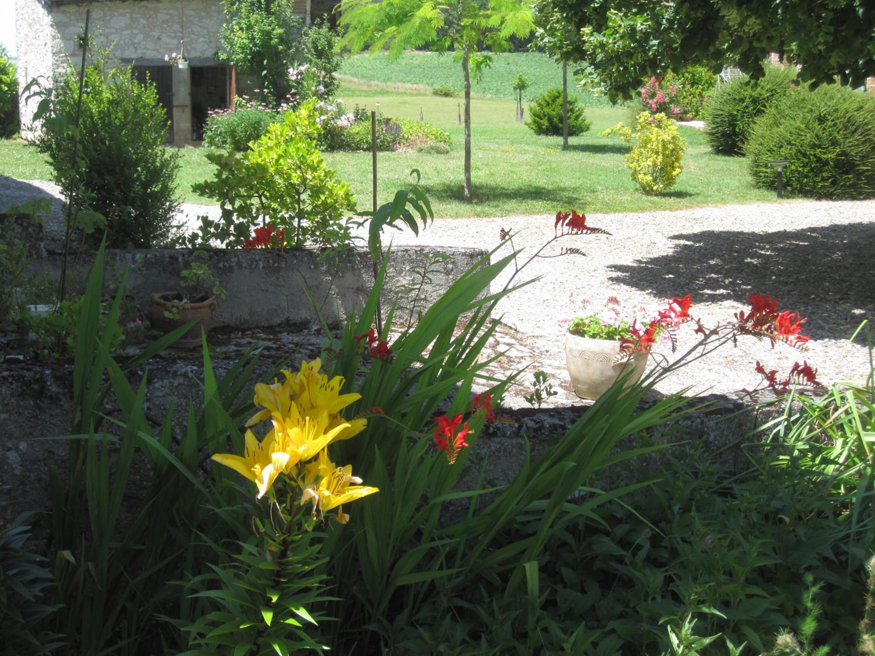 Photo 6