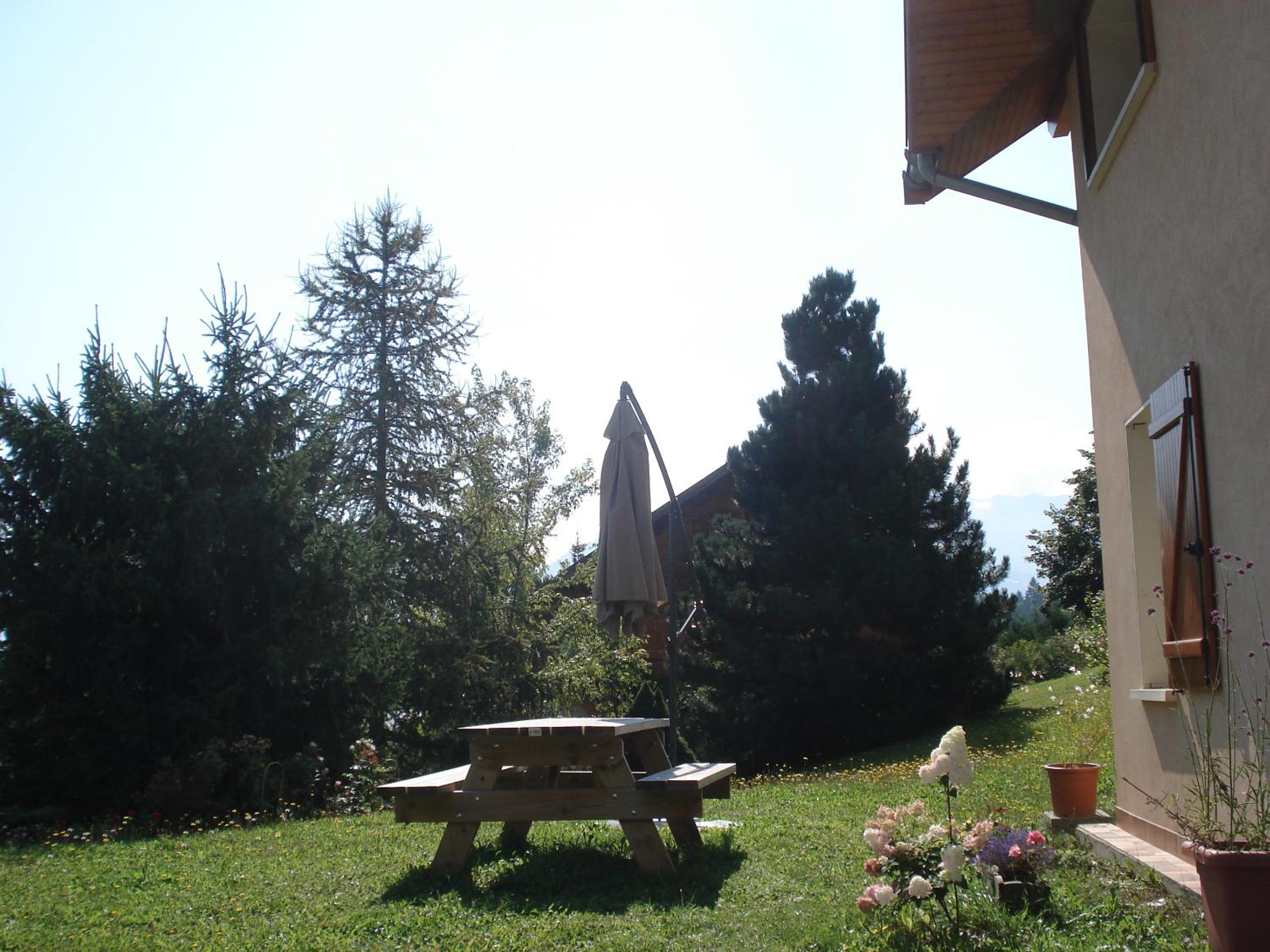 Photo 35