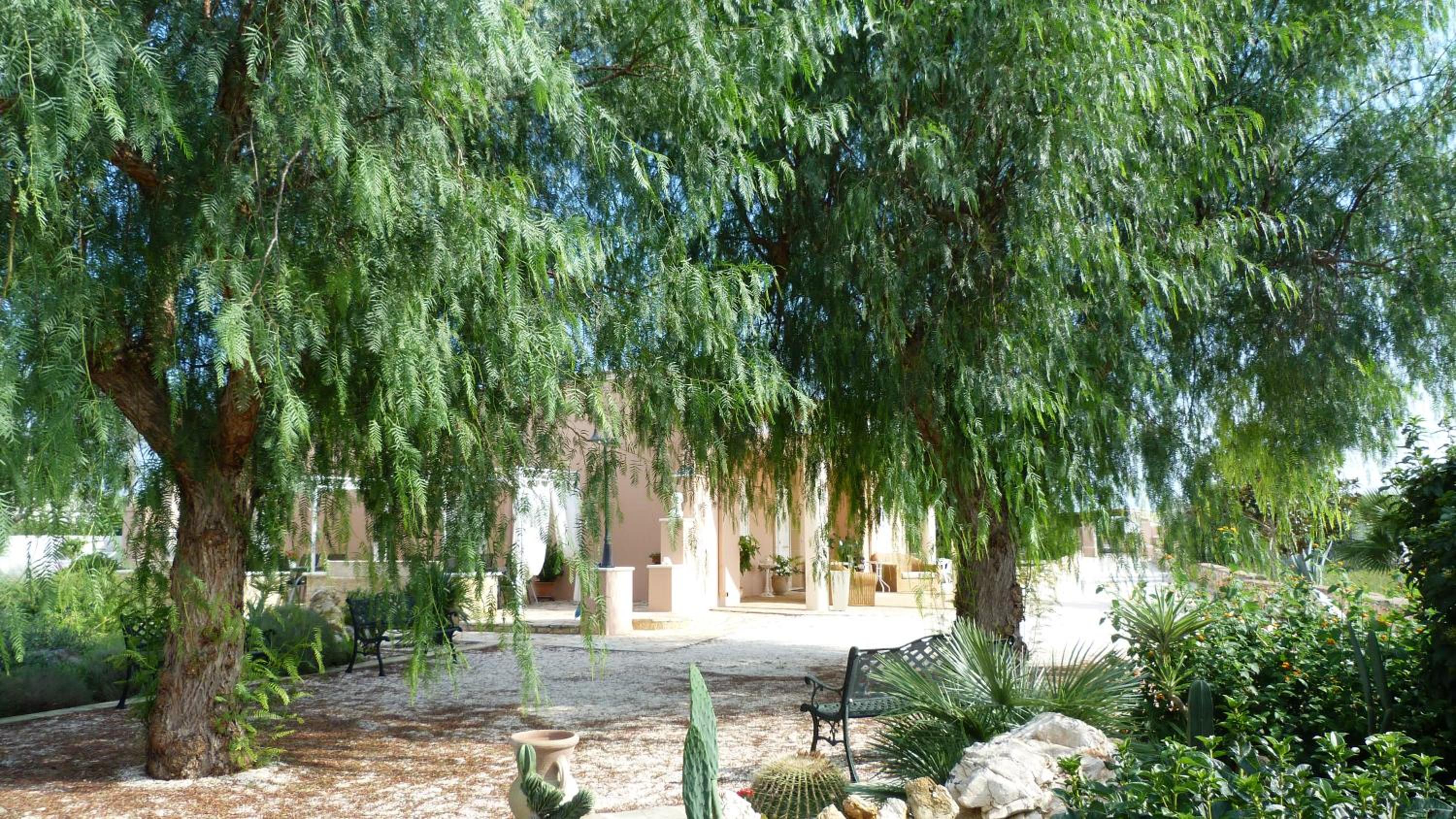 Tenuta Arate