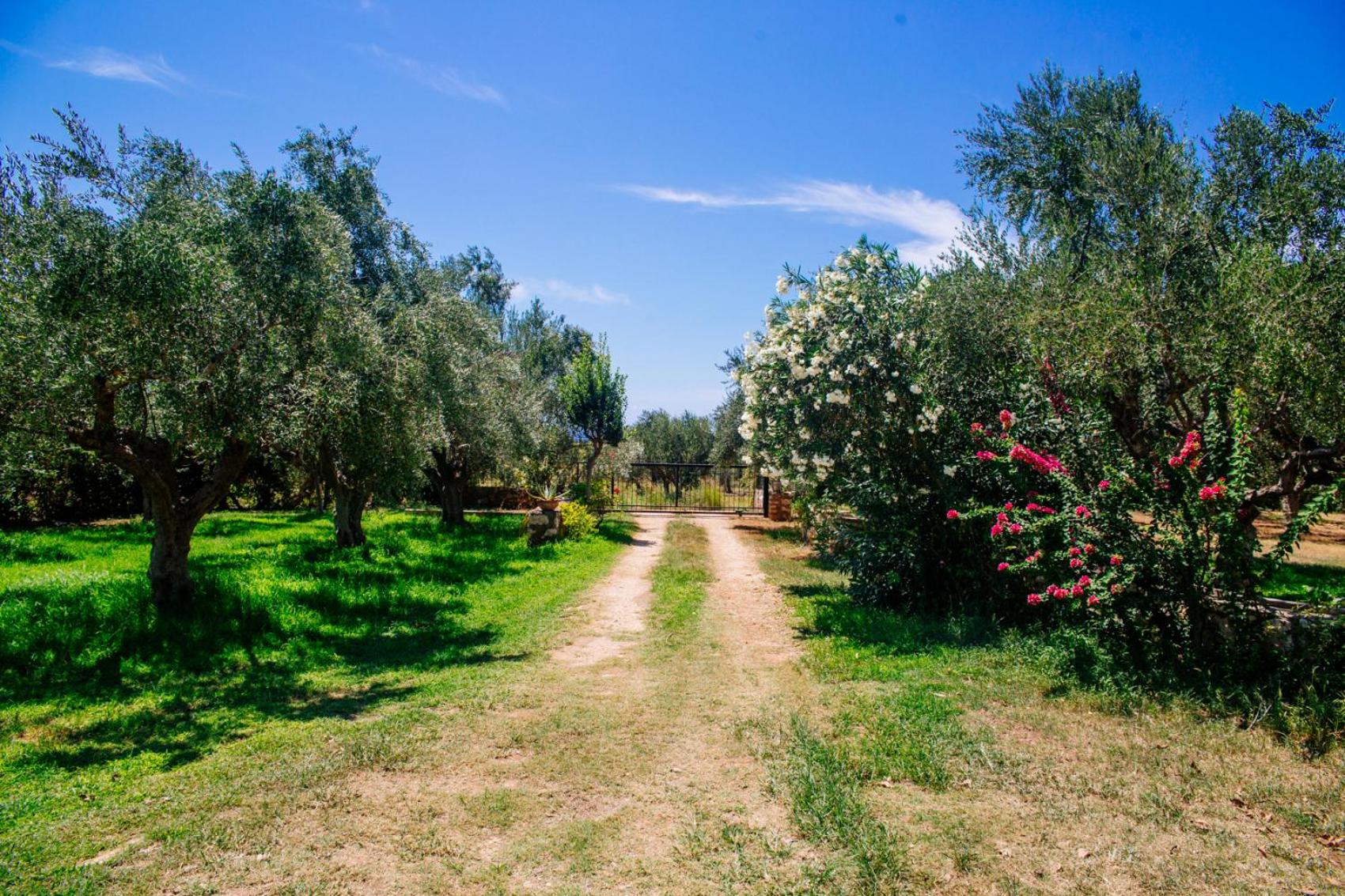 Traditional house in a natural oasis photo 4