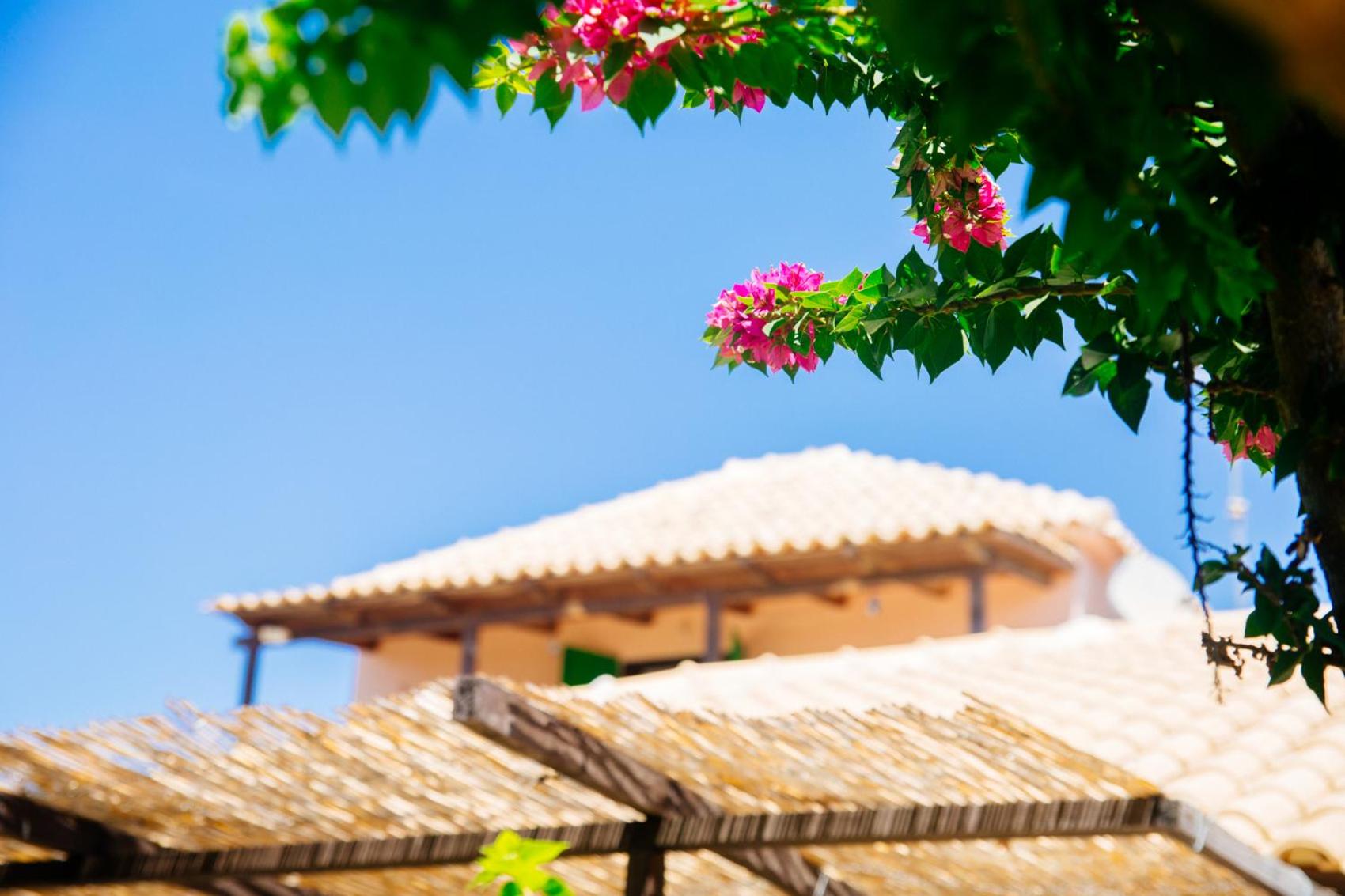 Traditional house in a natural oasis photo 5