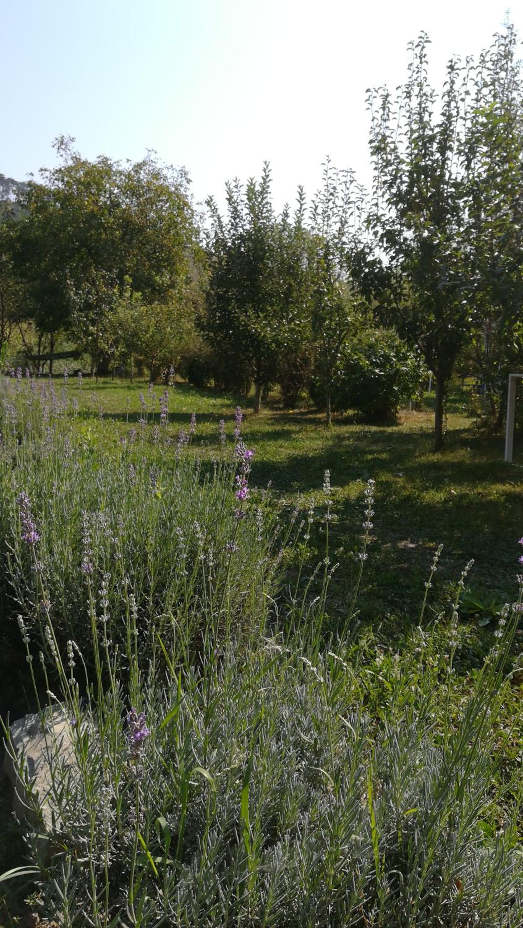 Photo 32