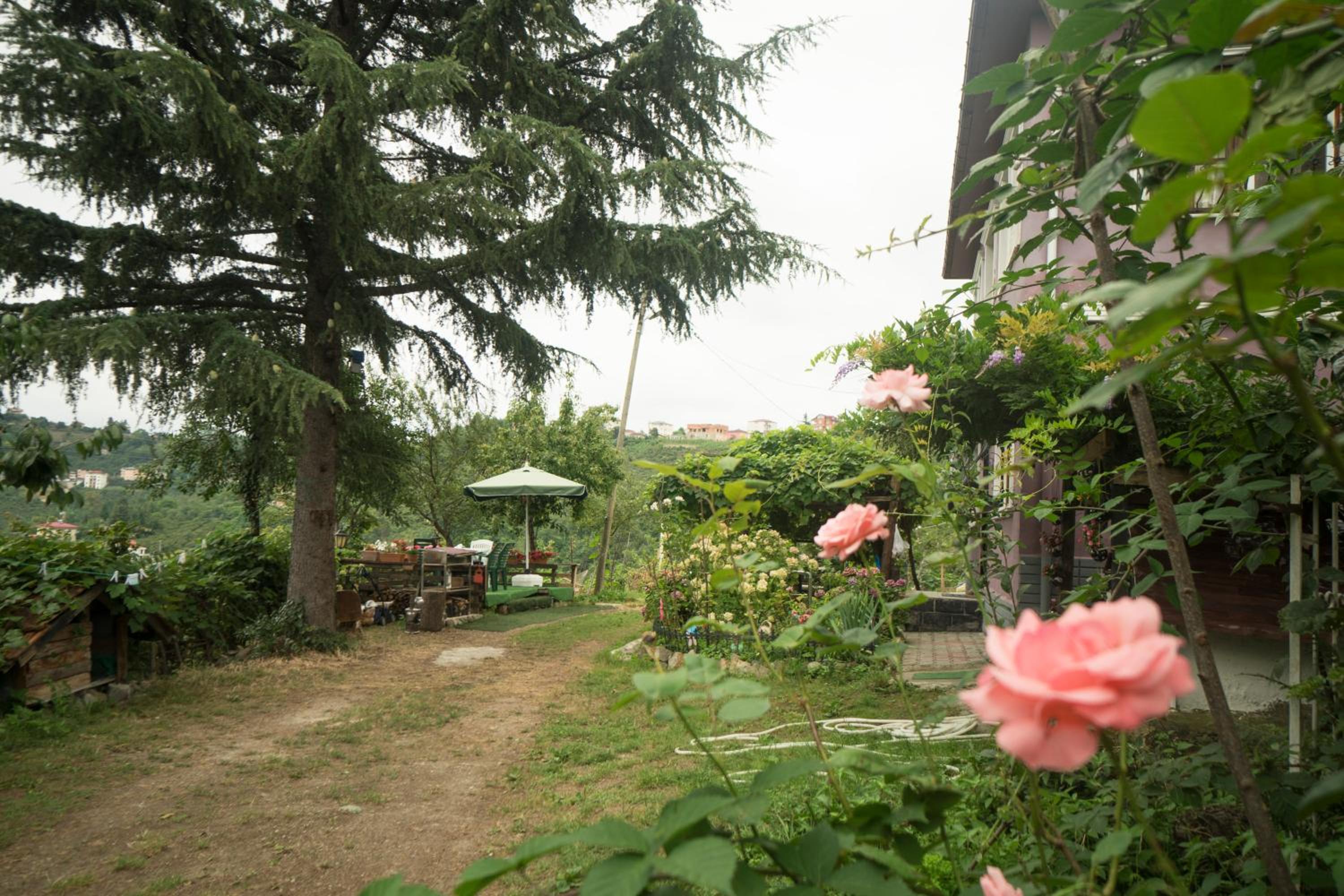 Photo 9