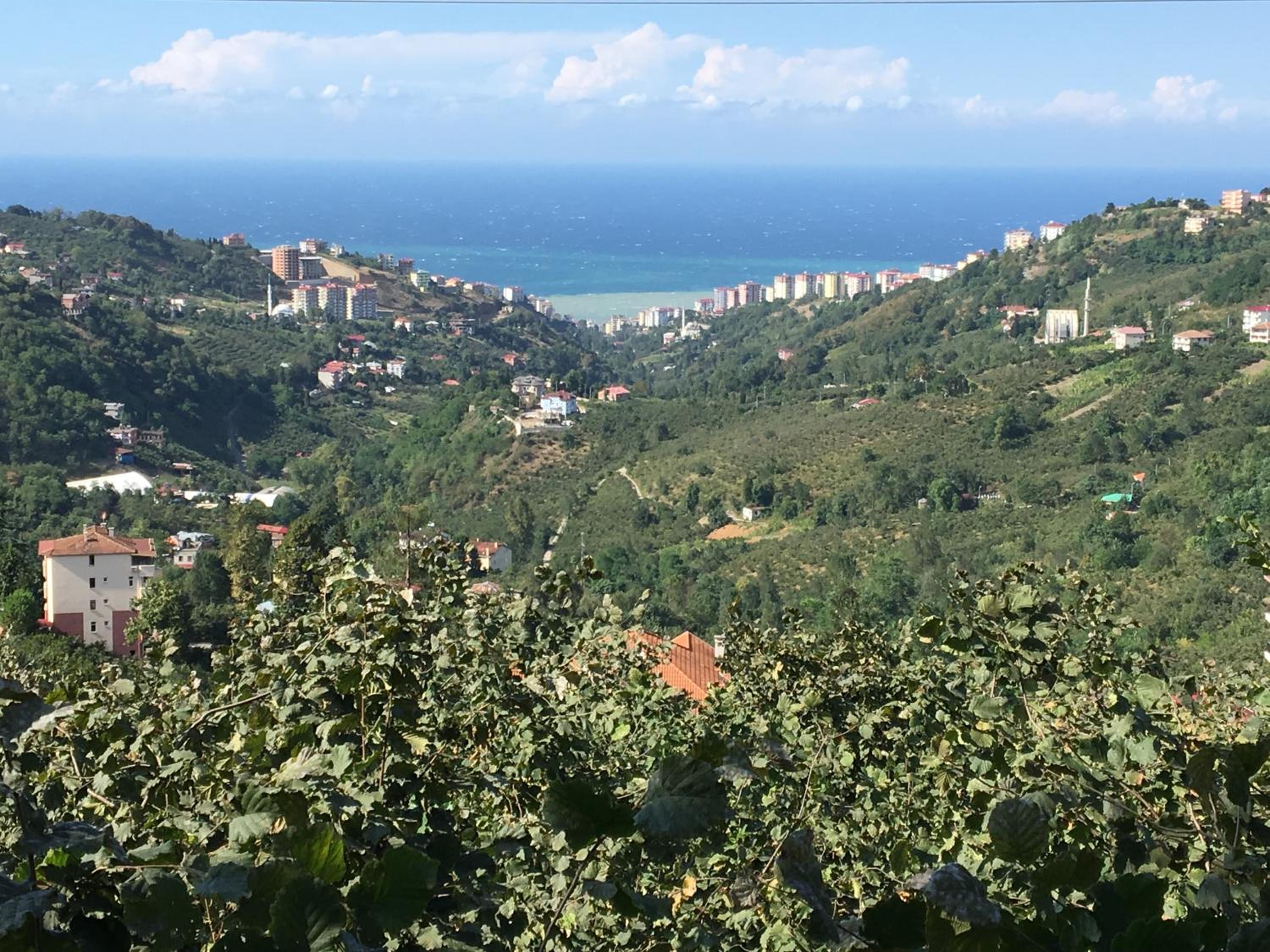 Villa Banizo Great Black Sea View Village House