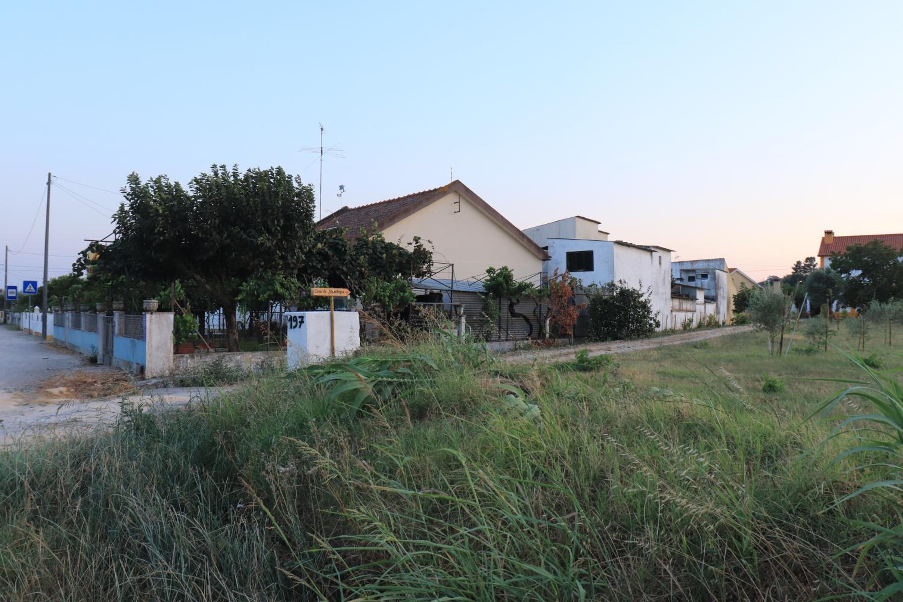 Photo 30