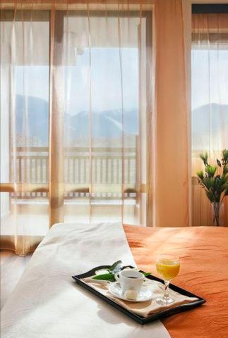 Top Apartment in Bansko