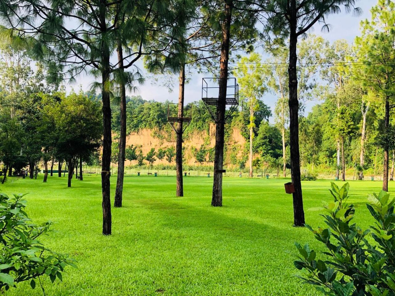 children's play area