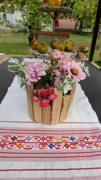 Photo 23