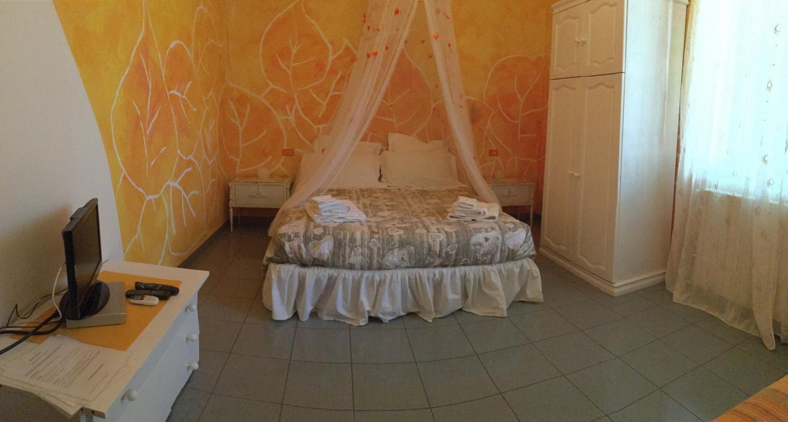 B&B Apricot photo 5
