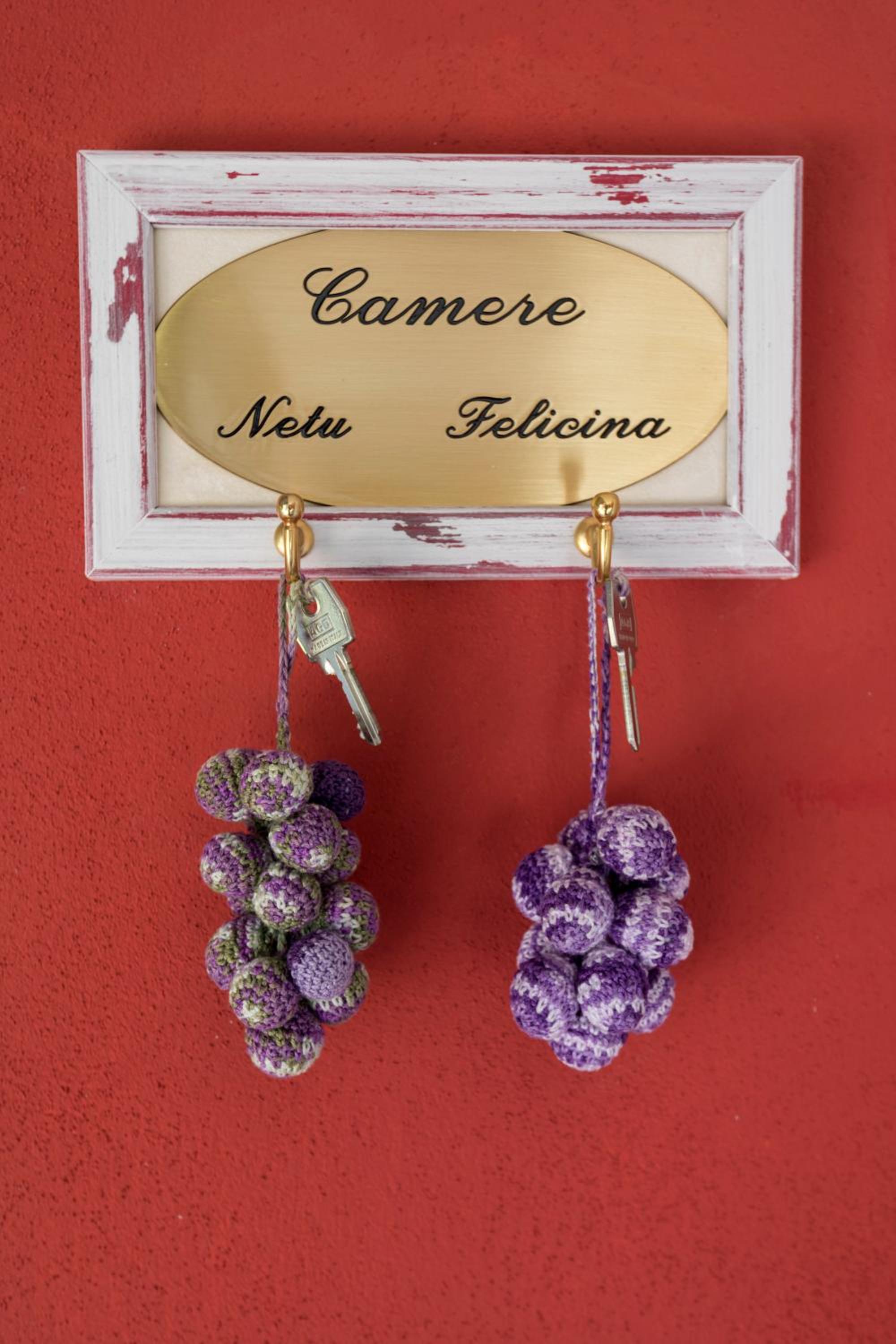 Villa Goccia di Vino - Property Image 14