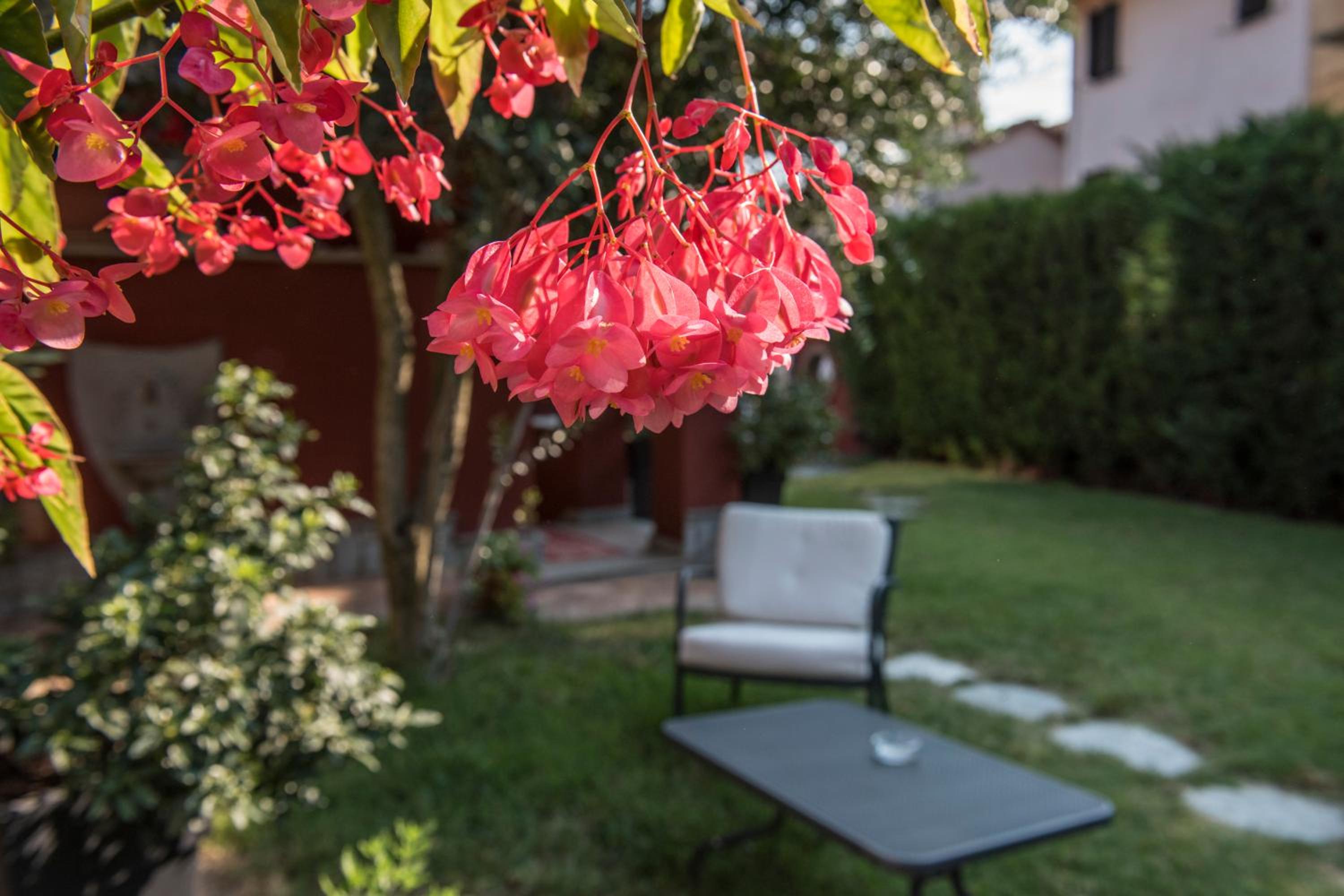 Villa Goccia di Vino - Property Image 6