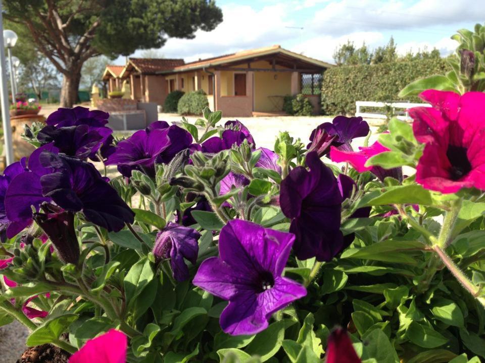Tortuga Casa Vacanze