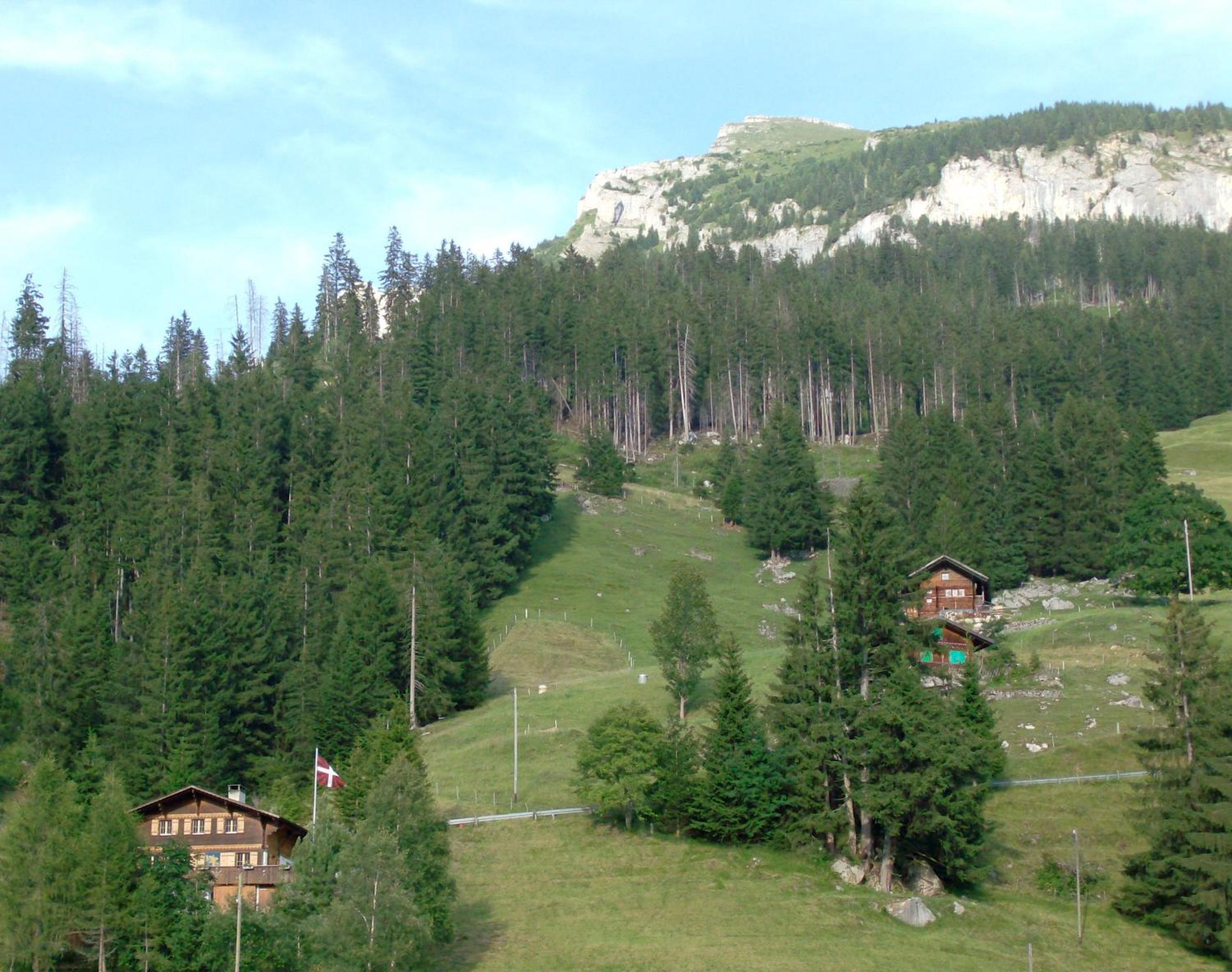 Photo 27