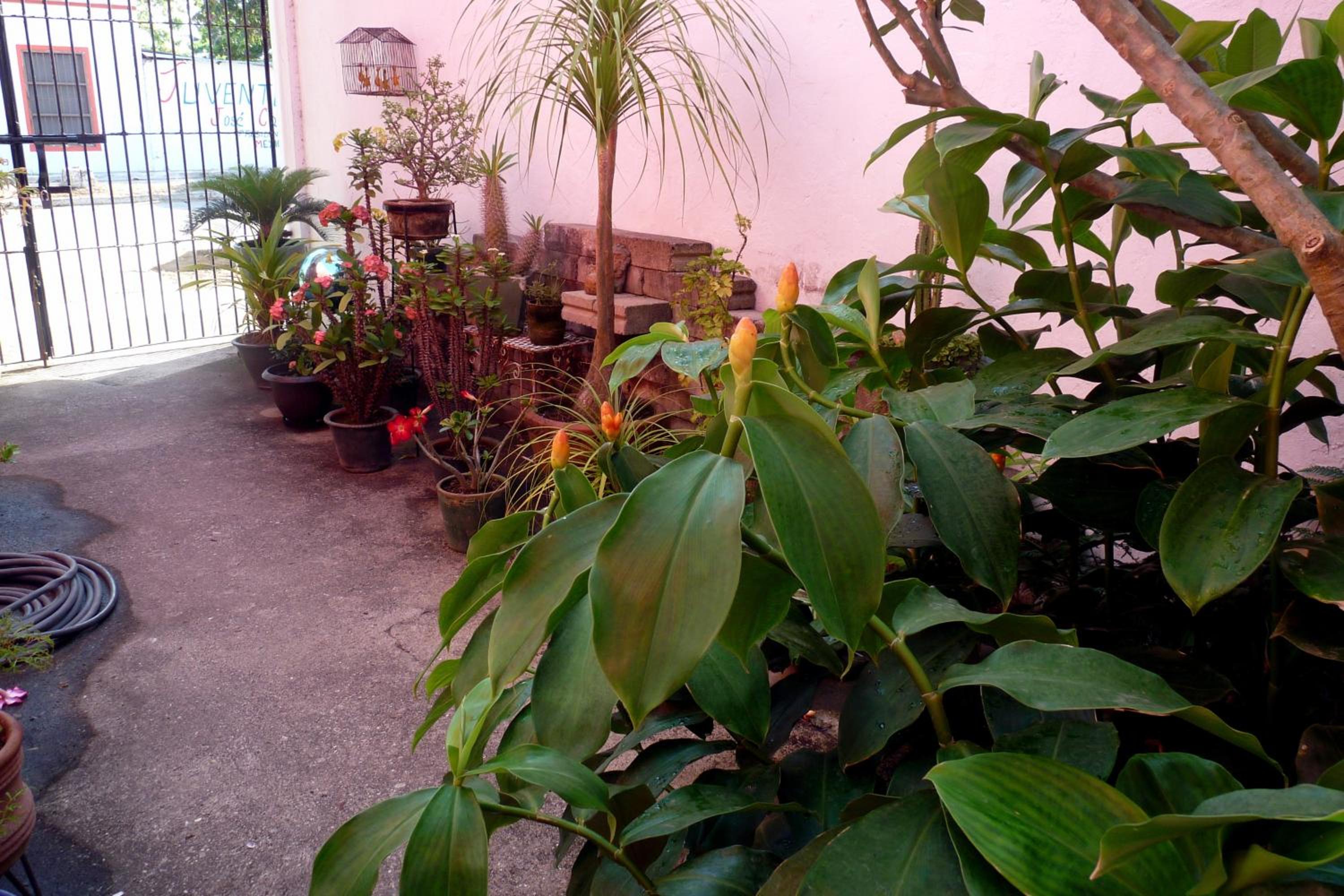 Photo 16