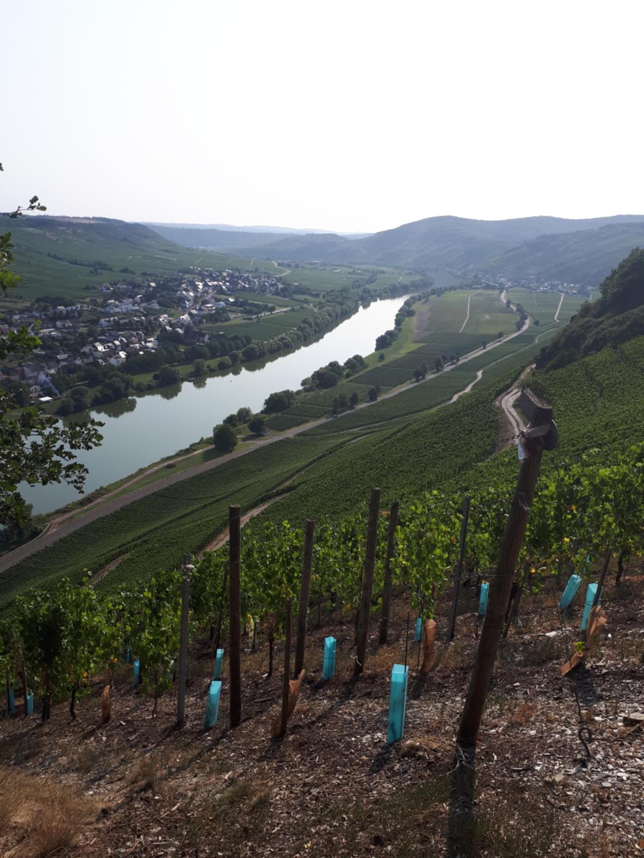 Gaestehaus Jufferpanorama
