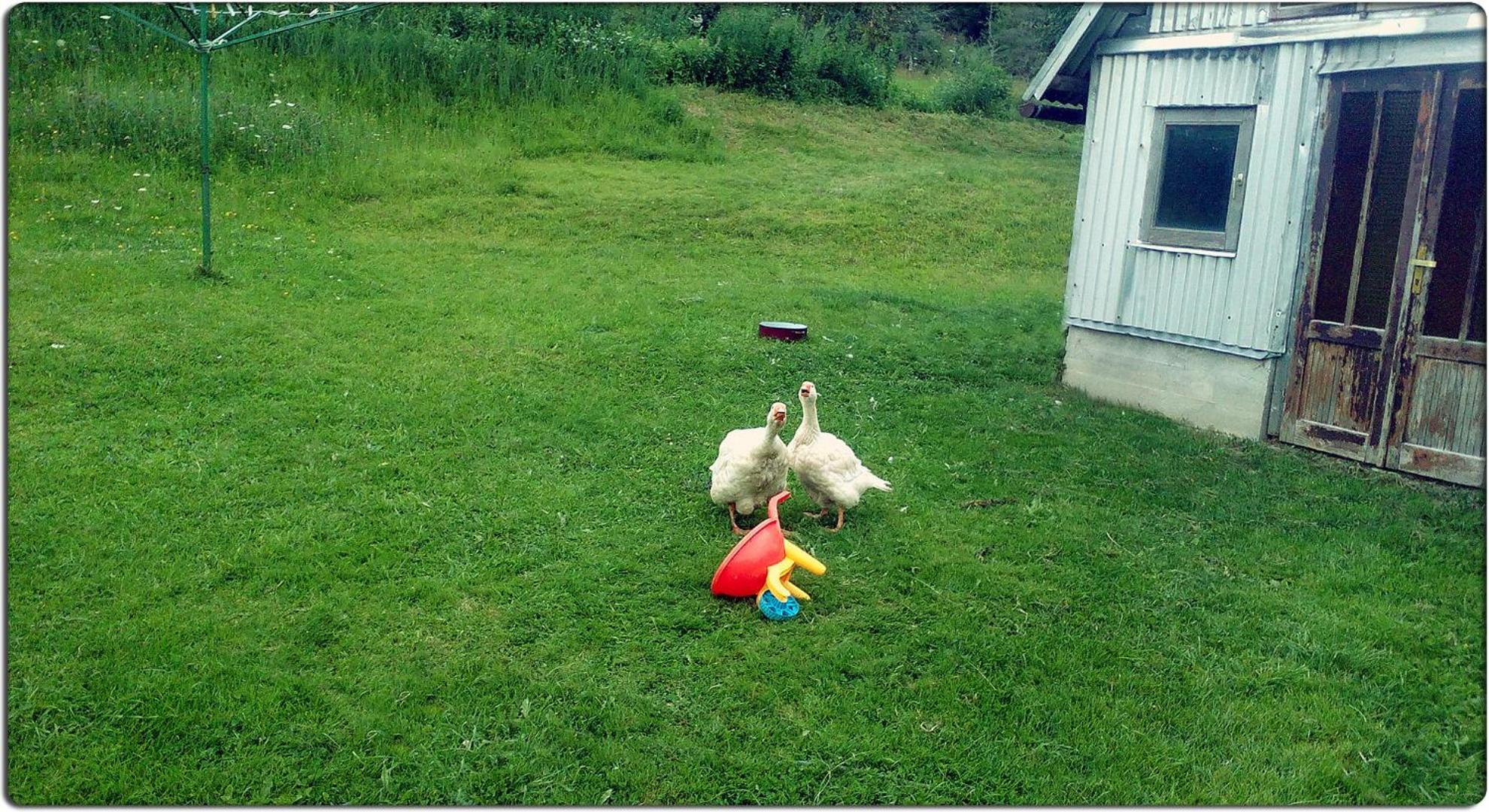 Photo 27
