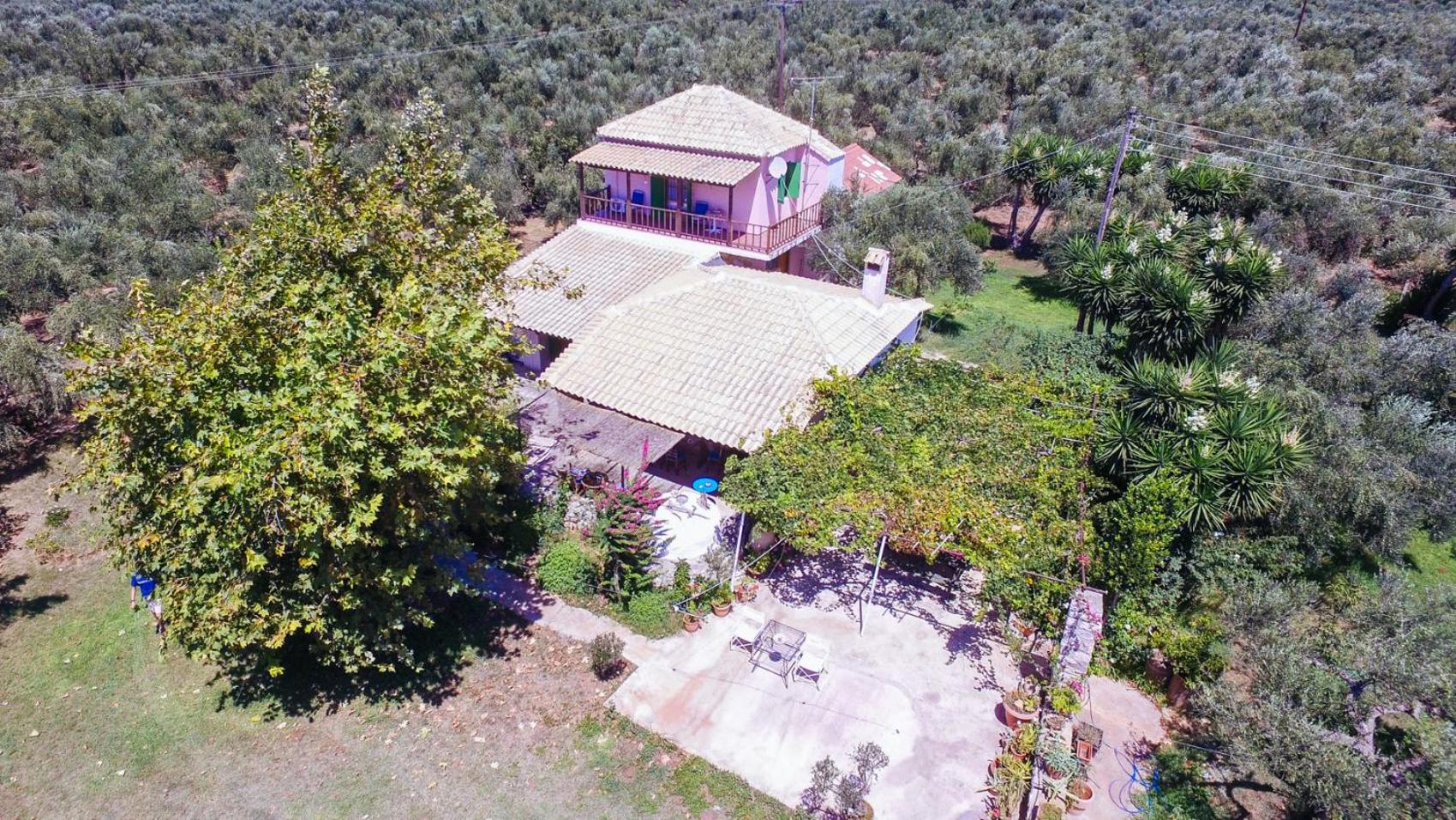 Traditional house in a natural oasis photo 2