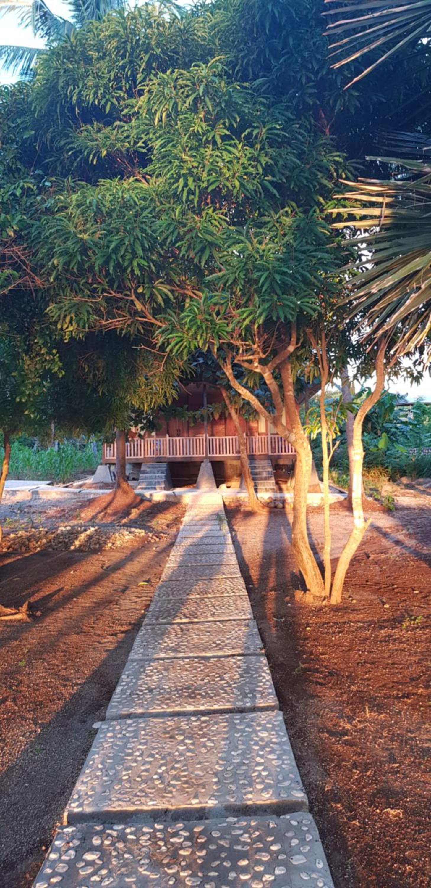garden