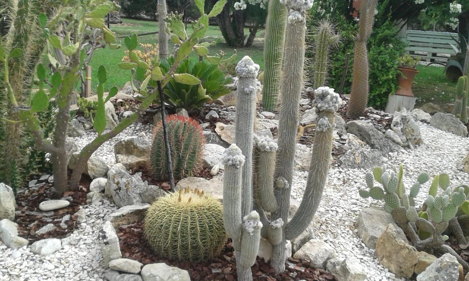 Lemalu'