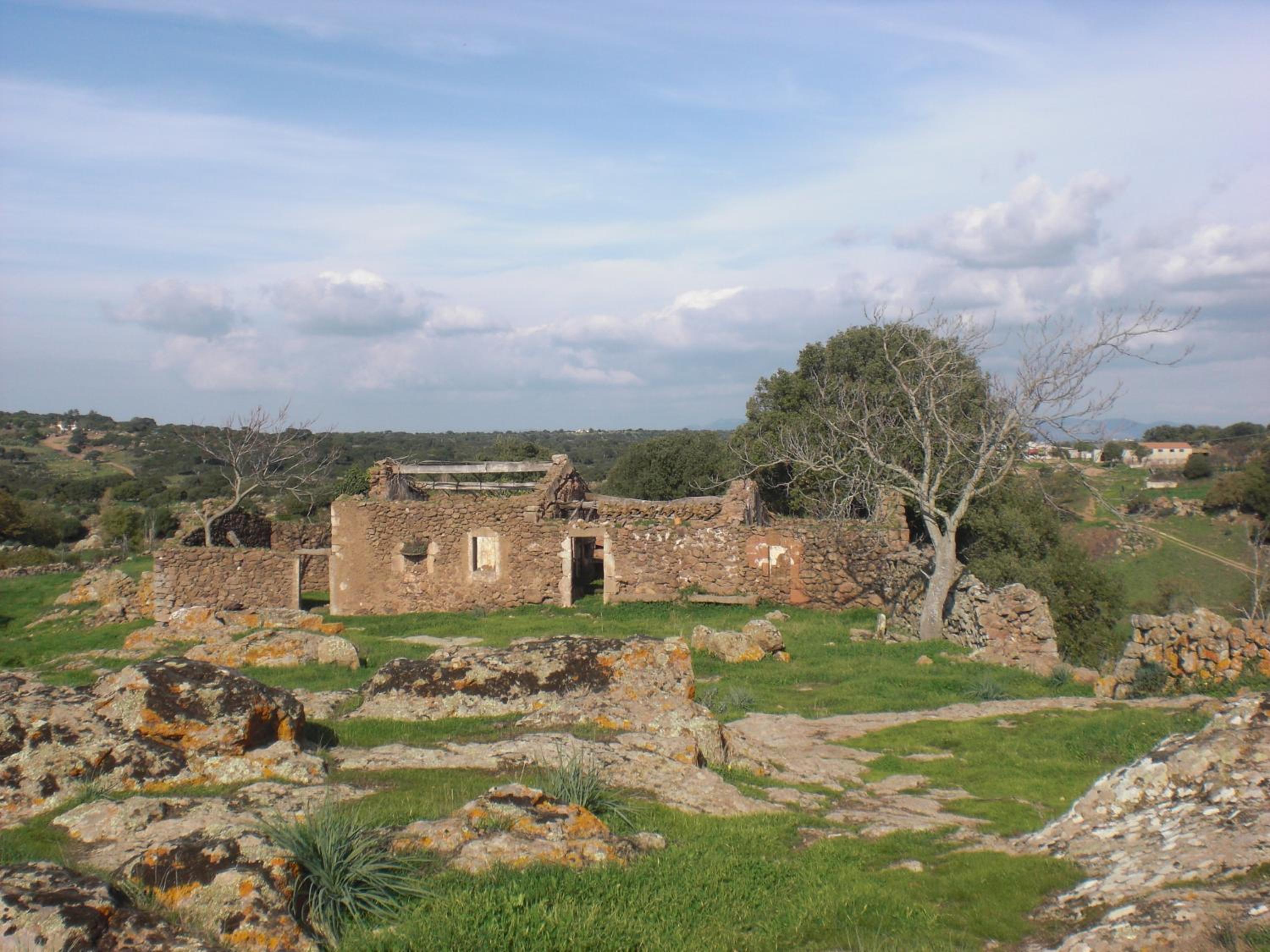 Photo 40