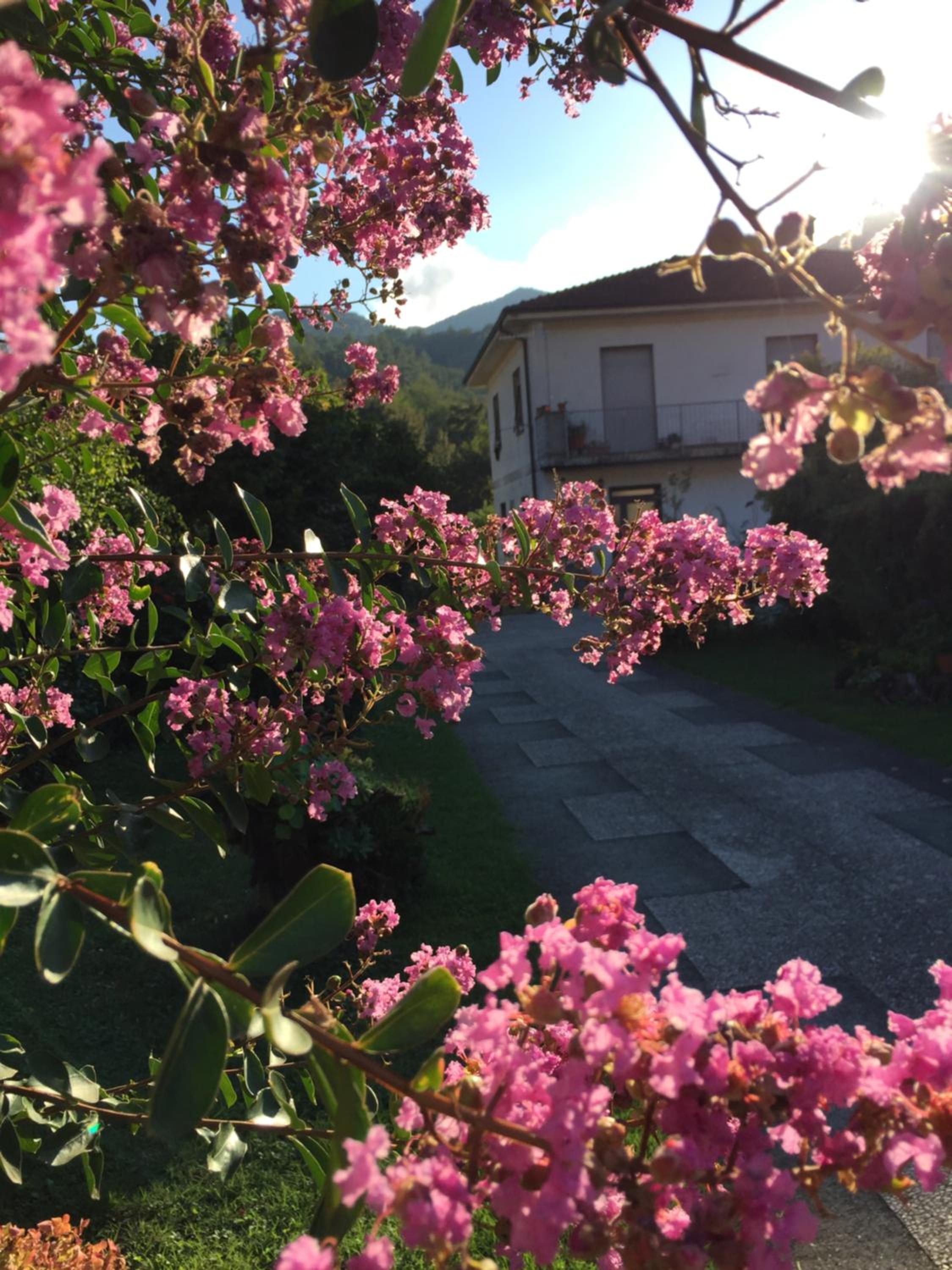 La Magnolia photo 5