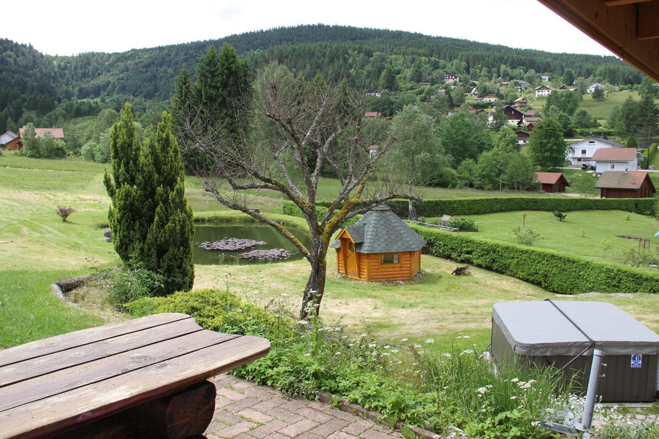 Photo 15