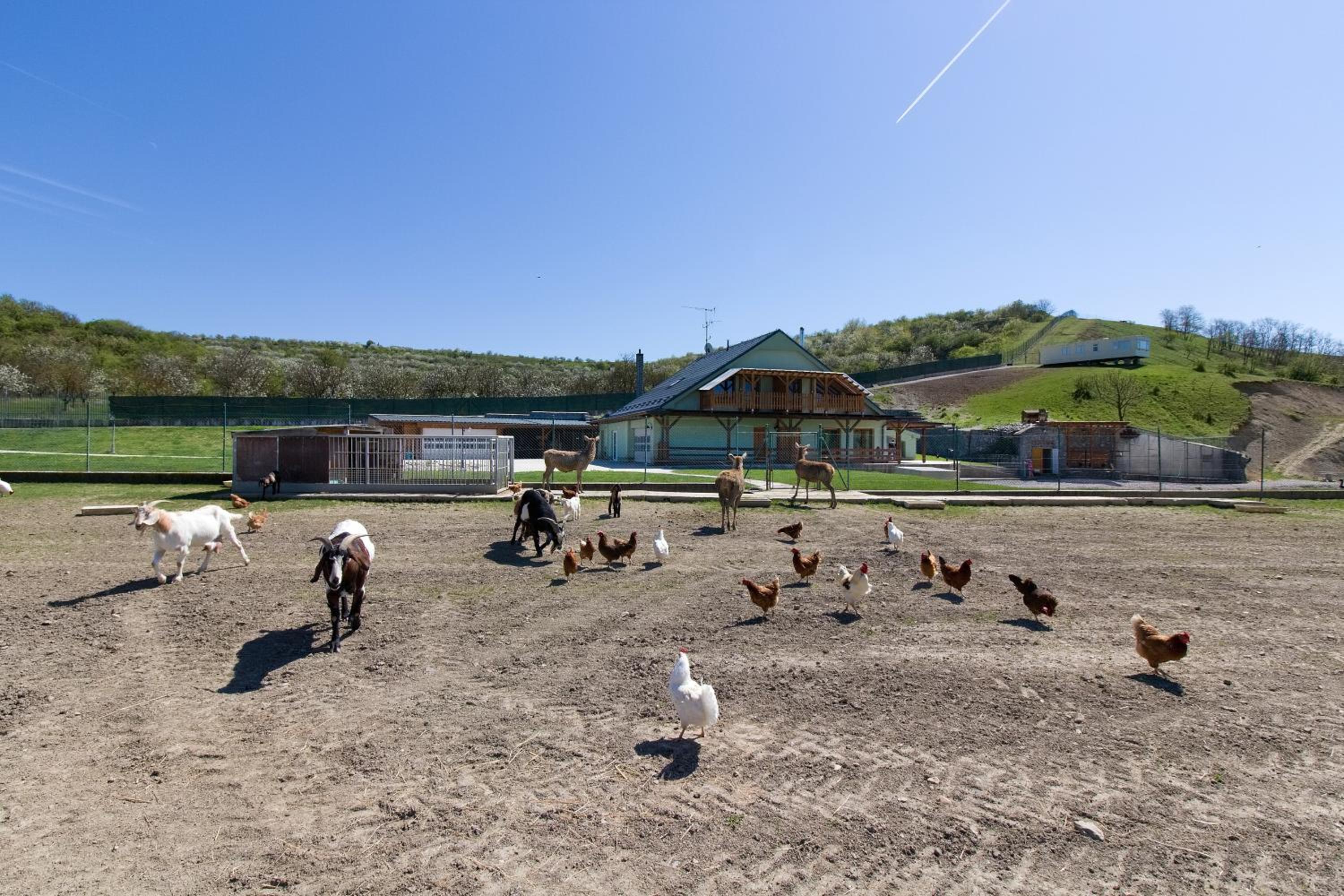 Apartmány na Farmě