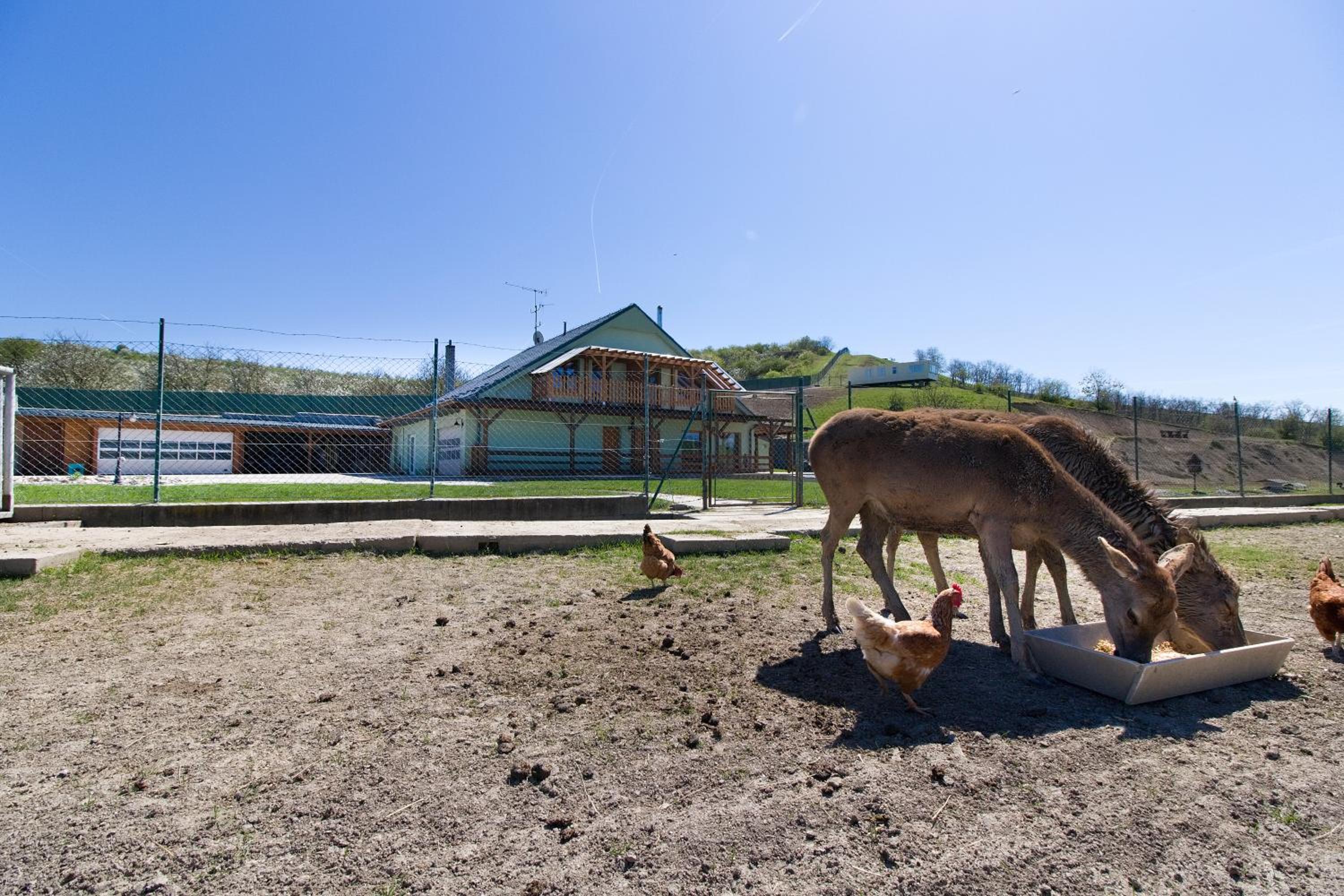 Apartmány na Farmě