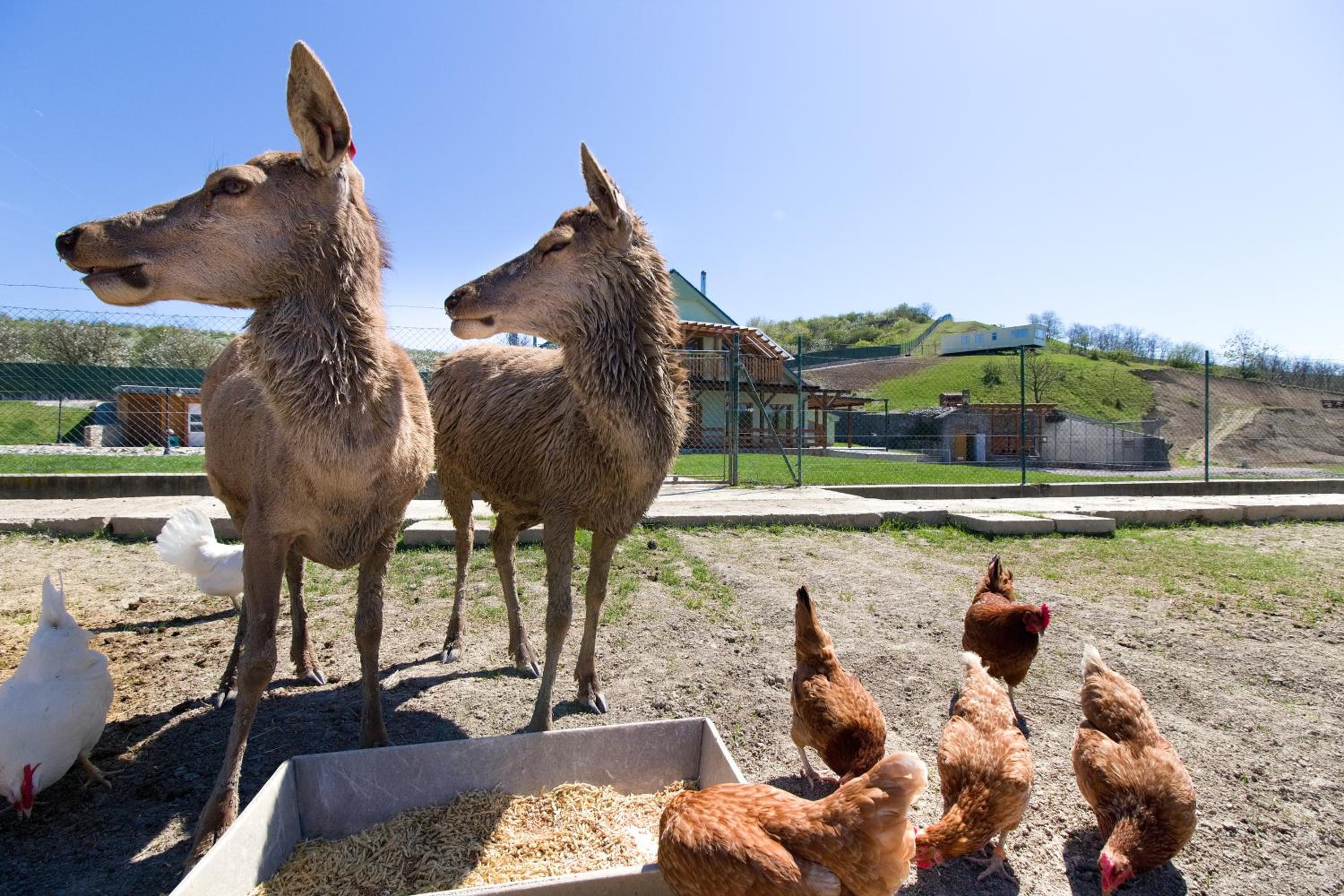 Apartmány na Farmě