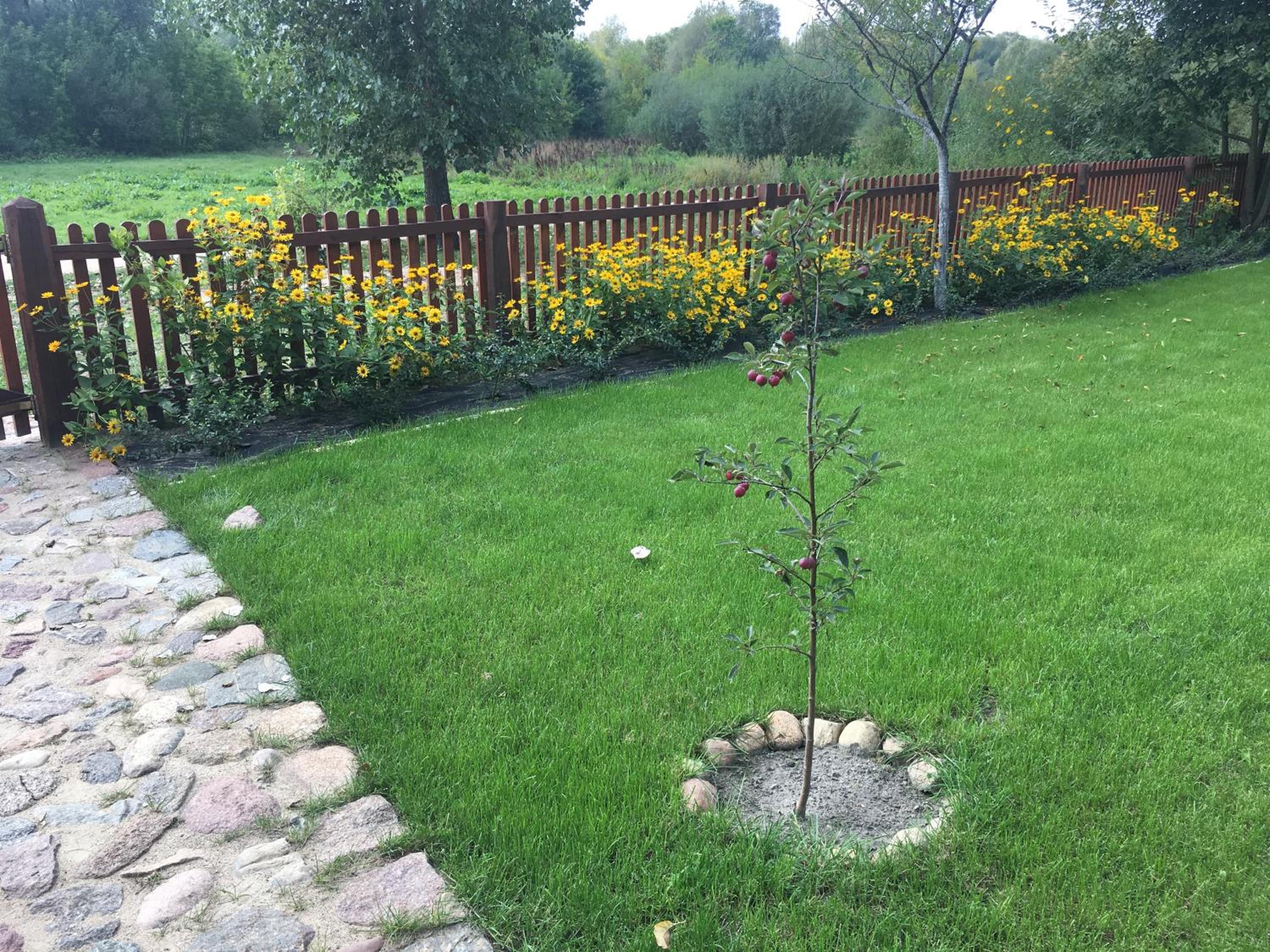 Photo 43