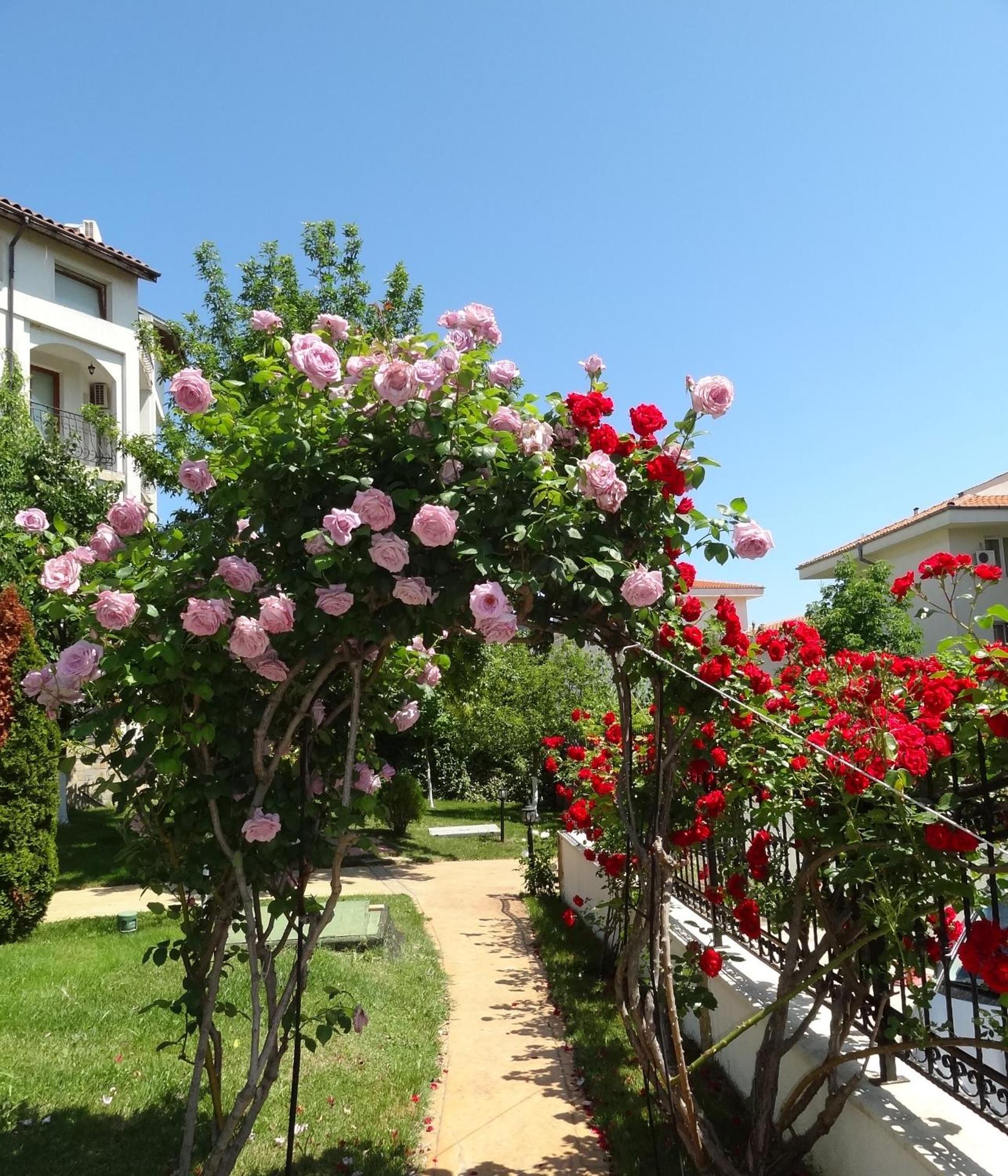 Triumph Holiday Village