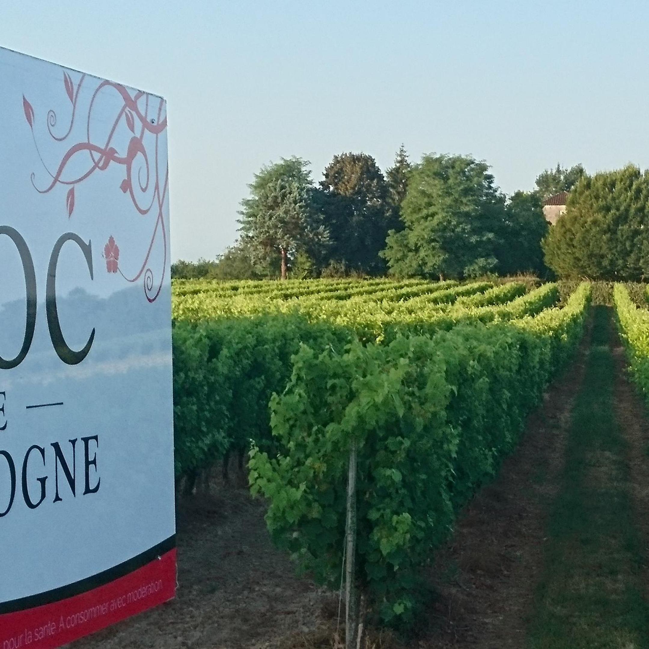 Domaine de Paguy