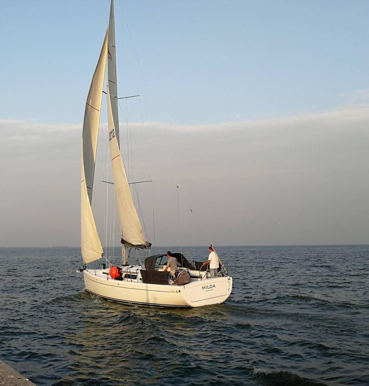 Taikos 24-7a