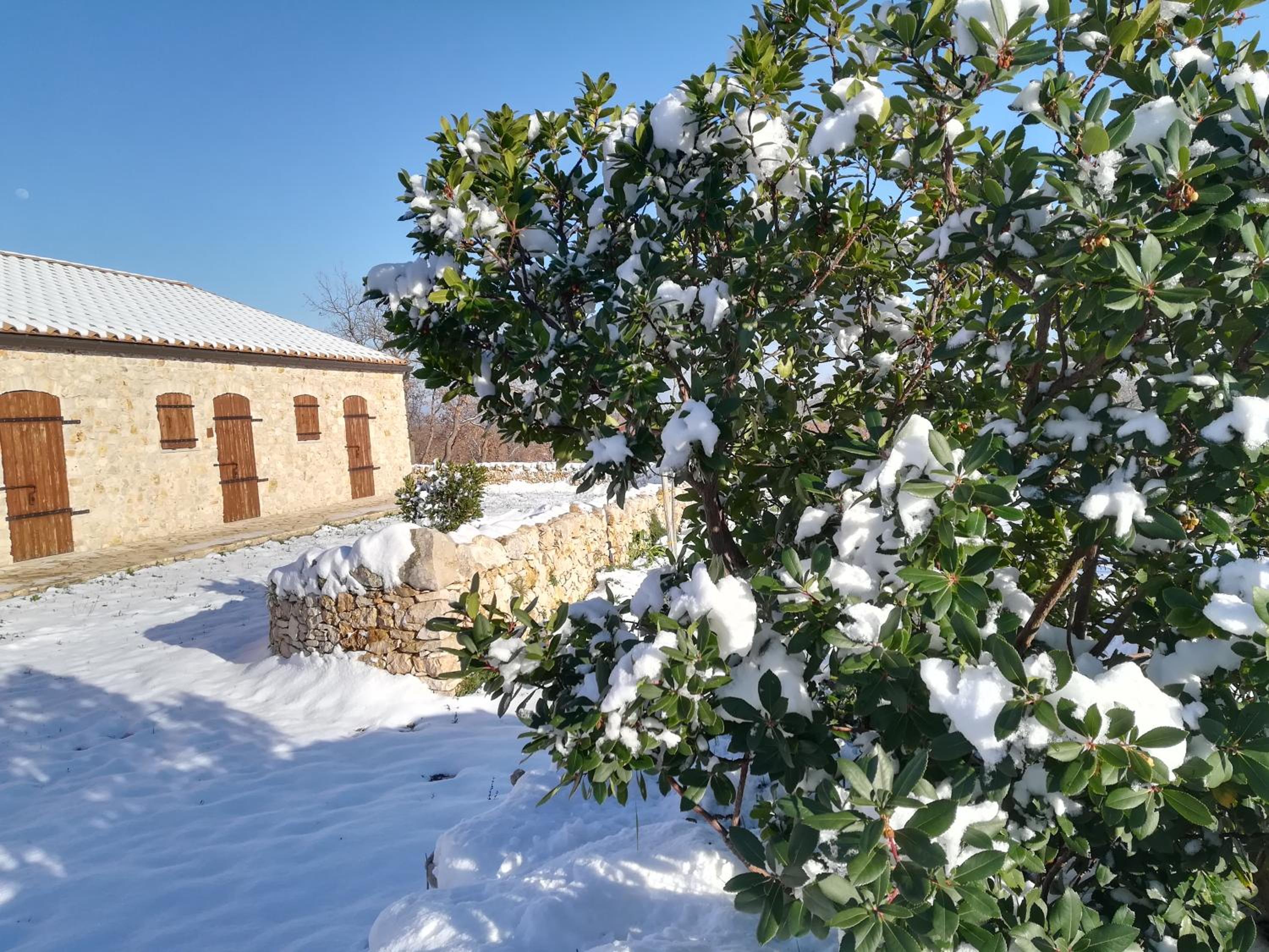 Tenuta Tedone Consolini