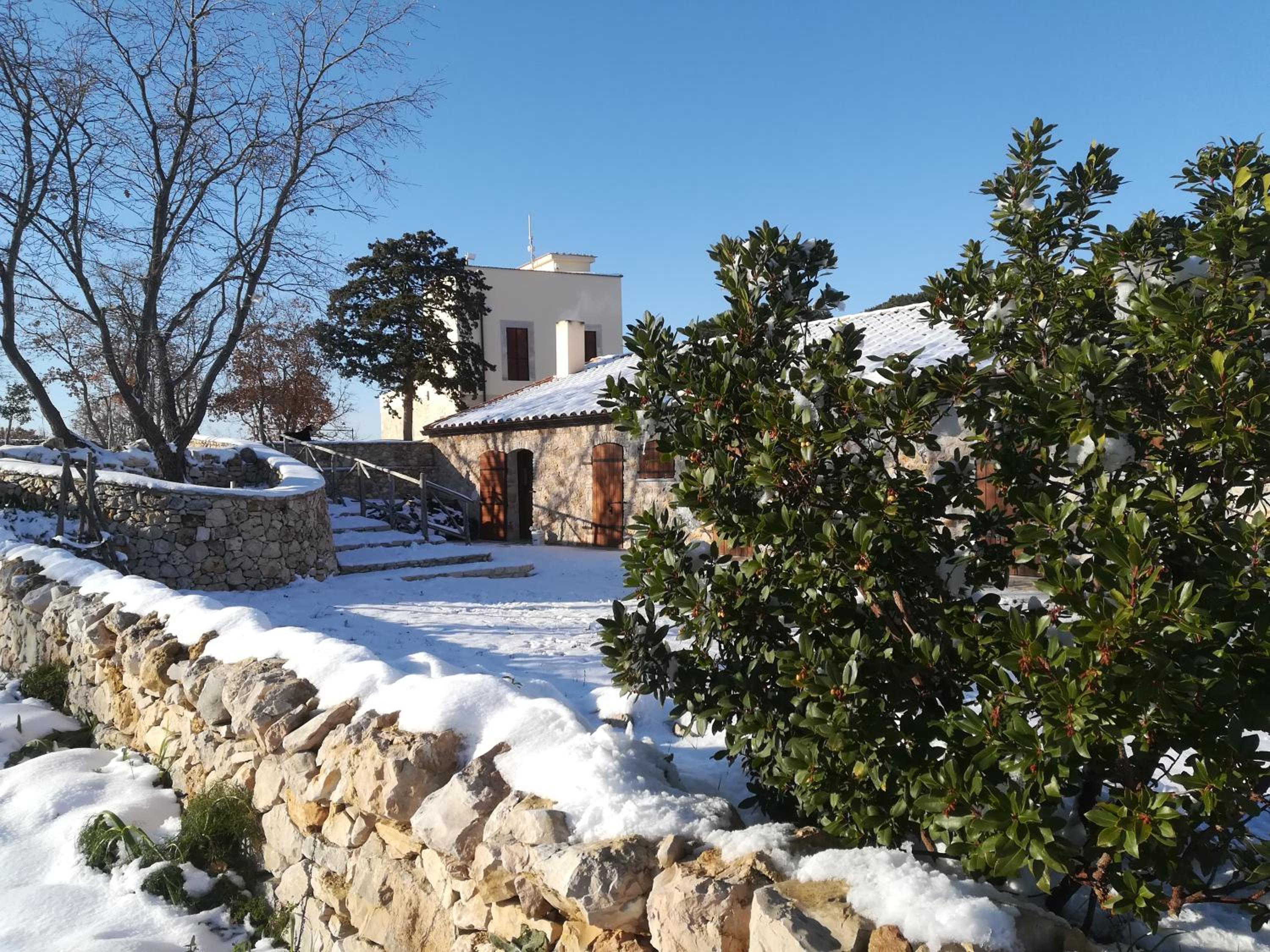 Tenuta Tedone Consolini