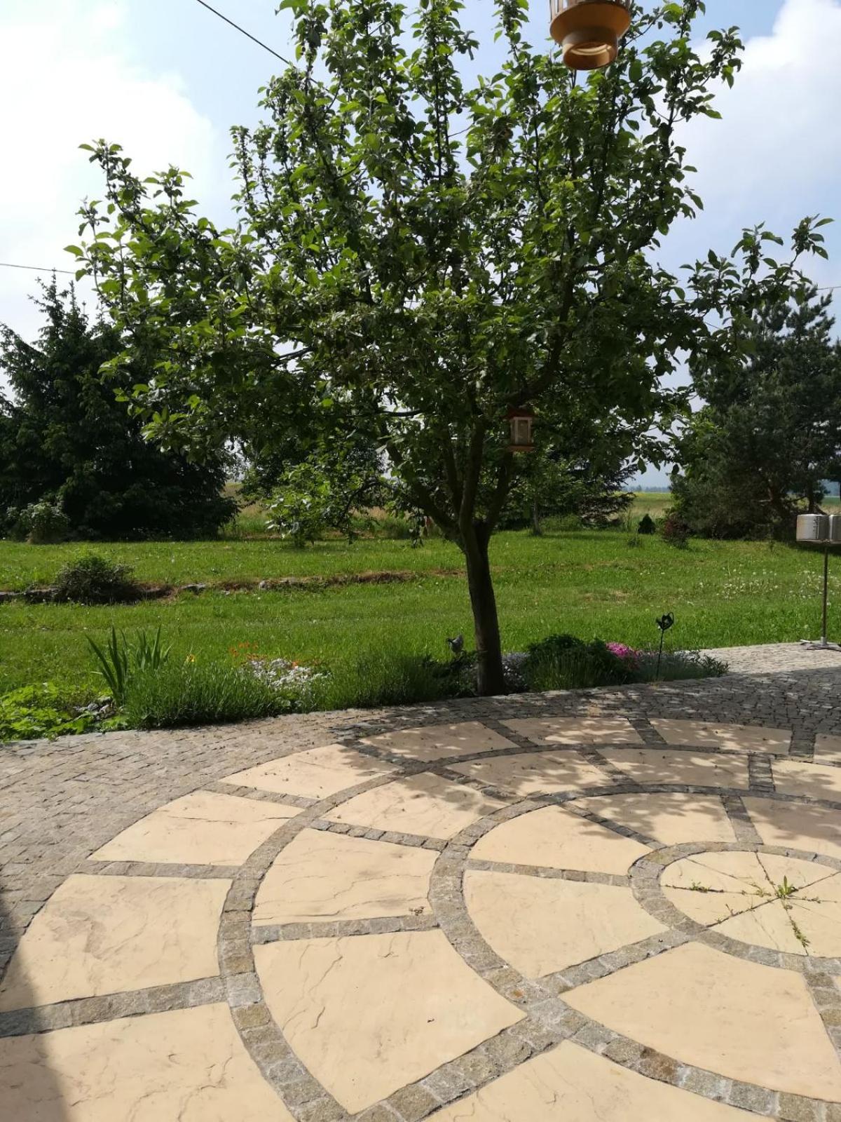Photo 32