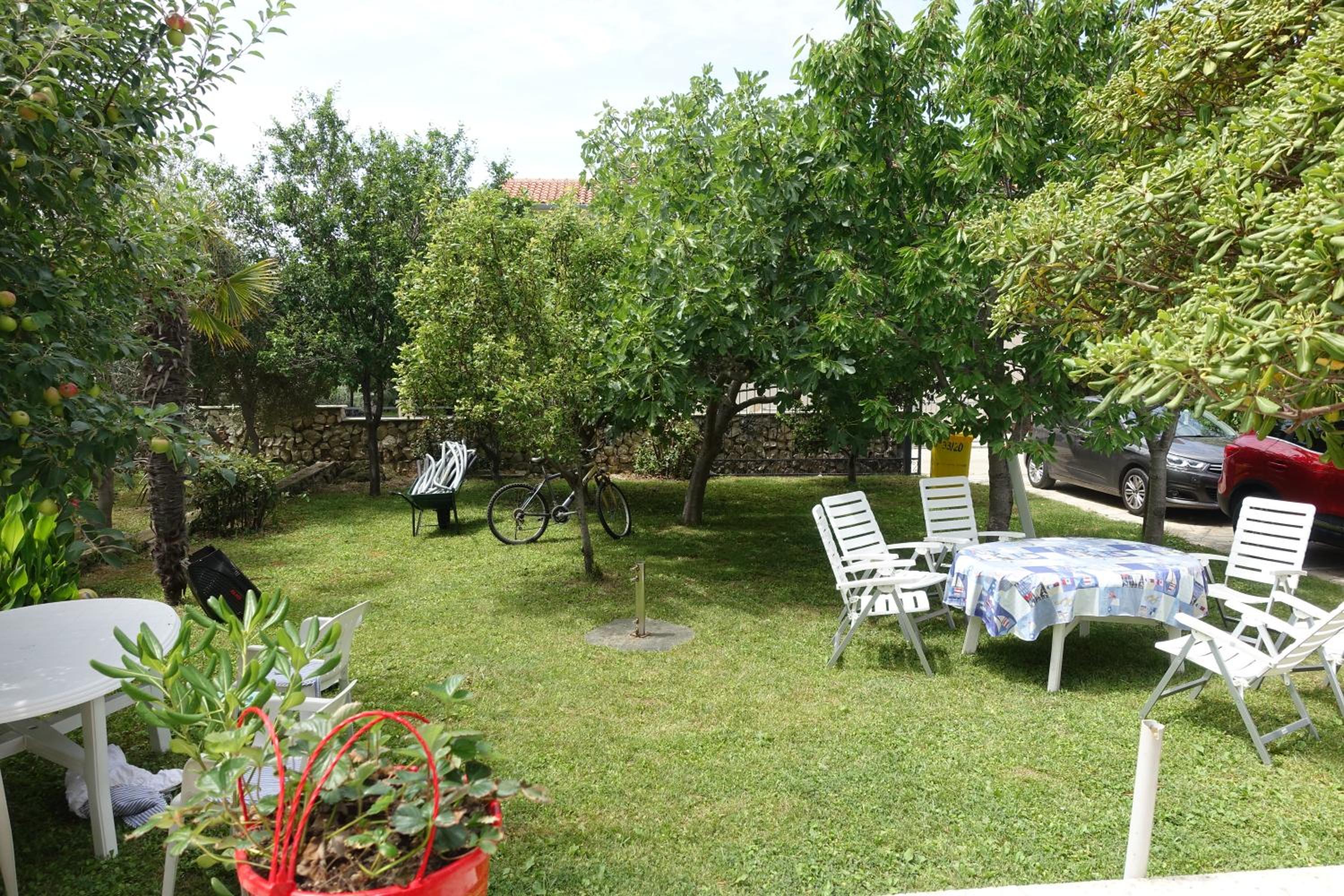 Dragica Apartments