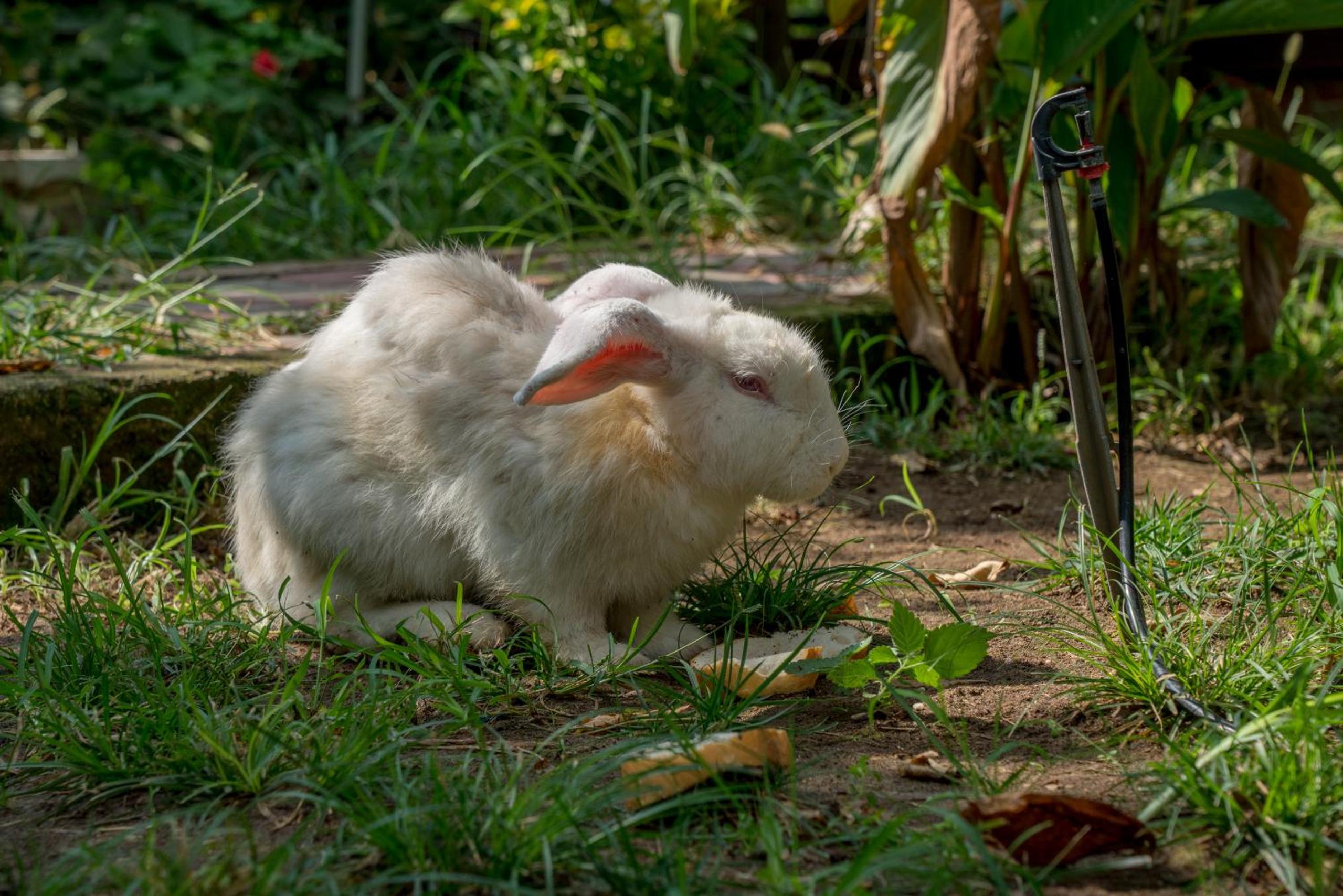 Photo 53