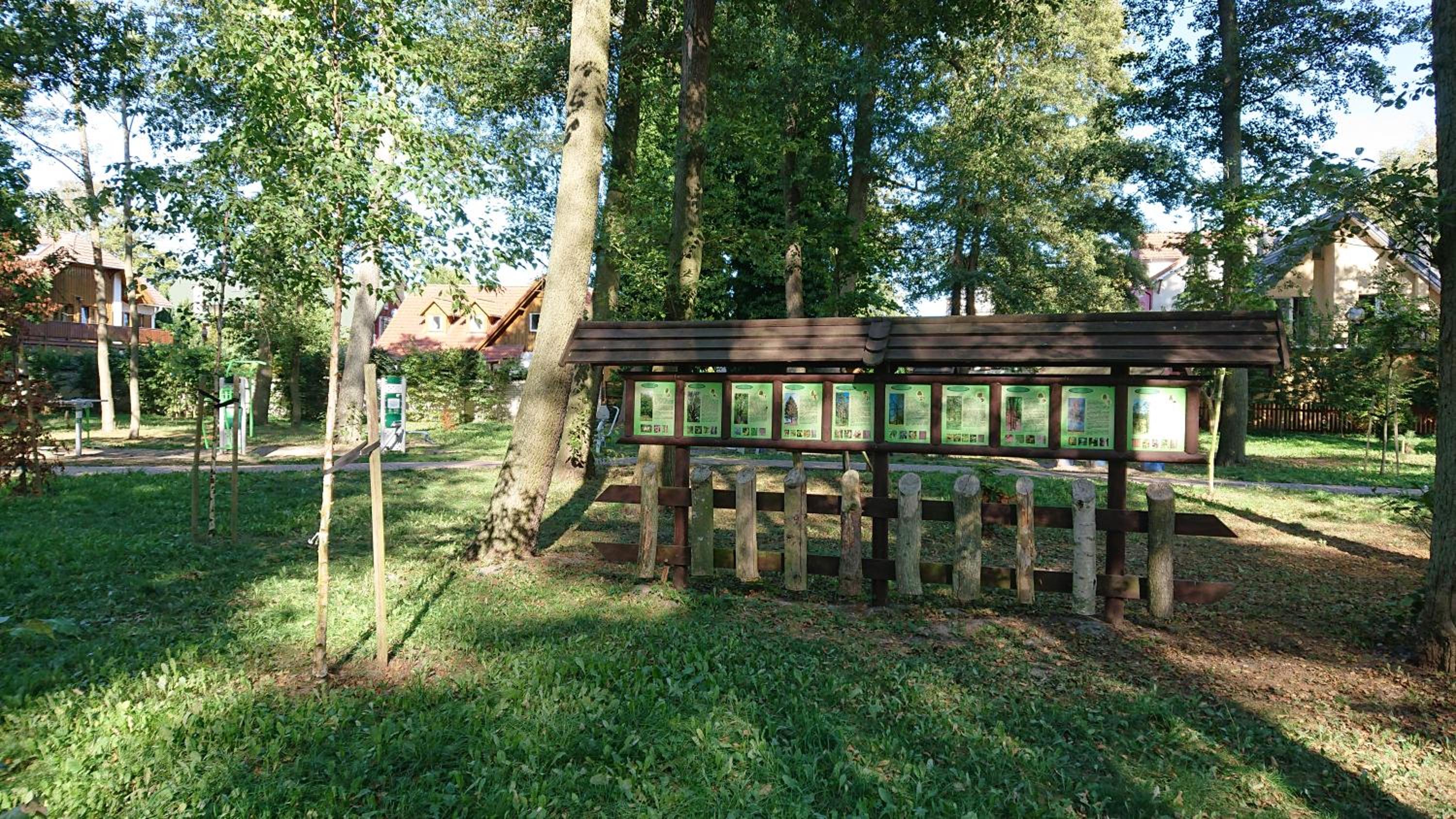 Photo 28