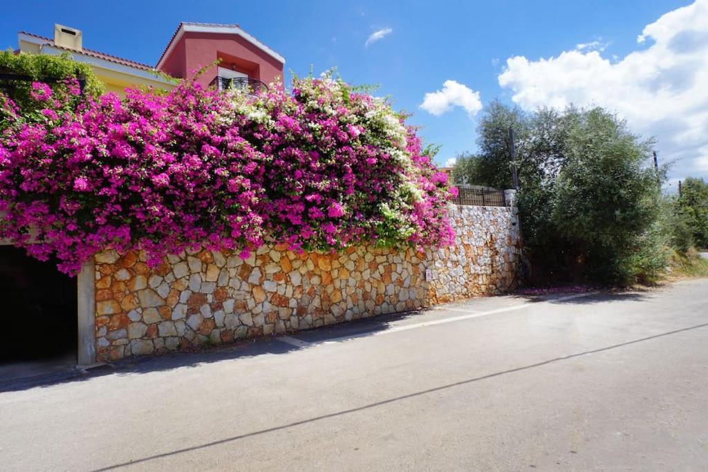 Maria's Garden view 2